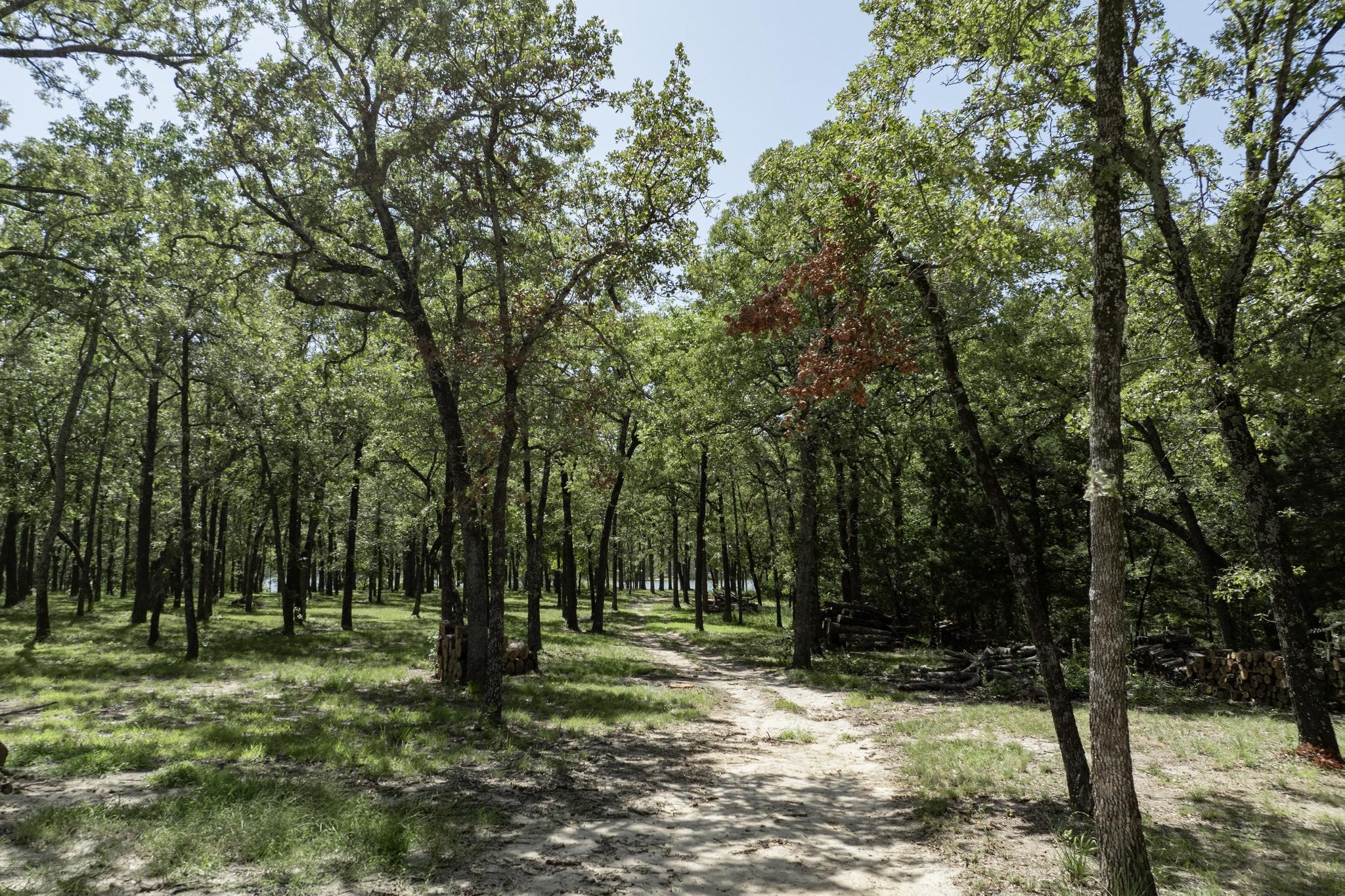 Lot 71 Anchor Quinlan TX 75474