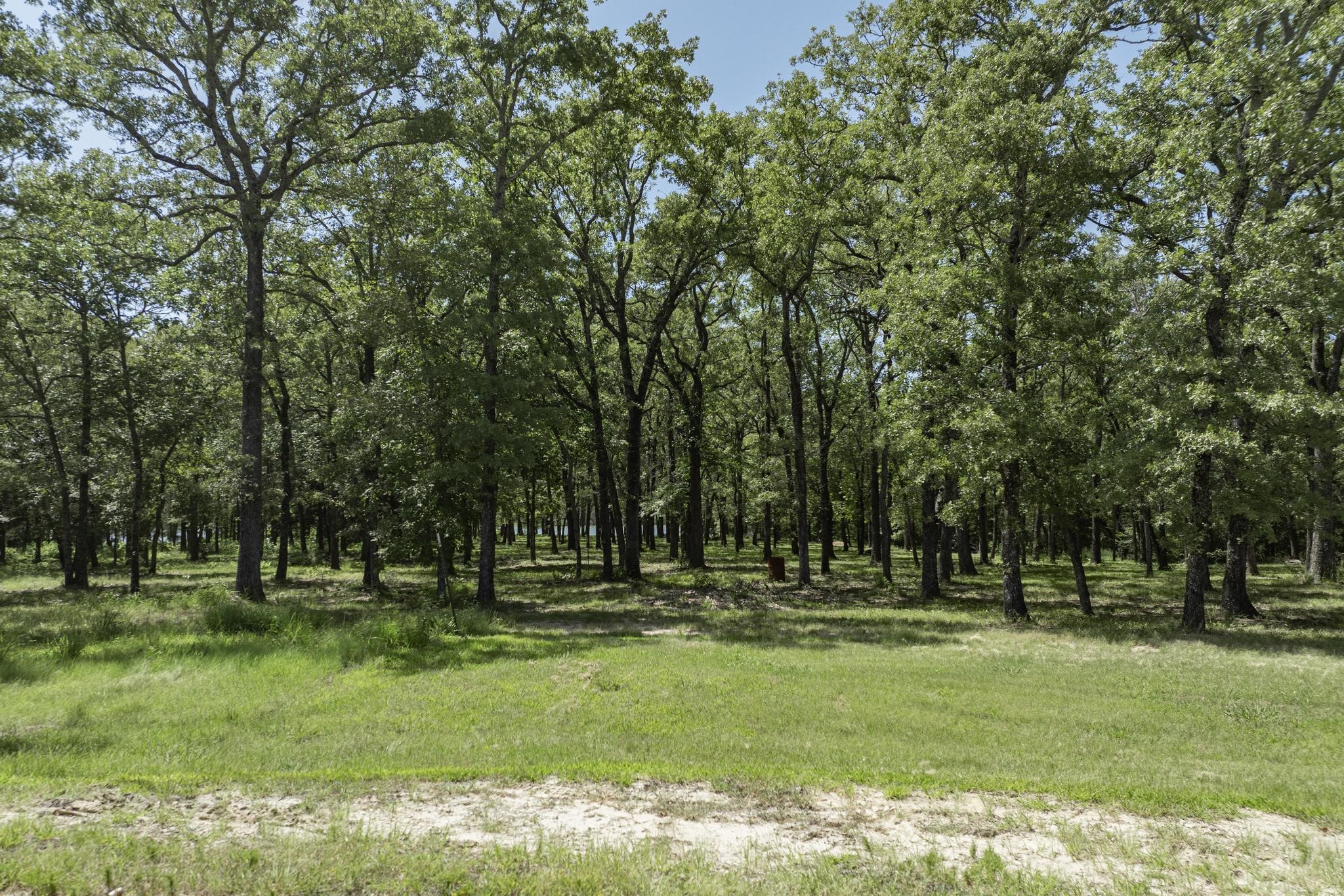 Lot 71 Anchor Quinlan TX 75474