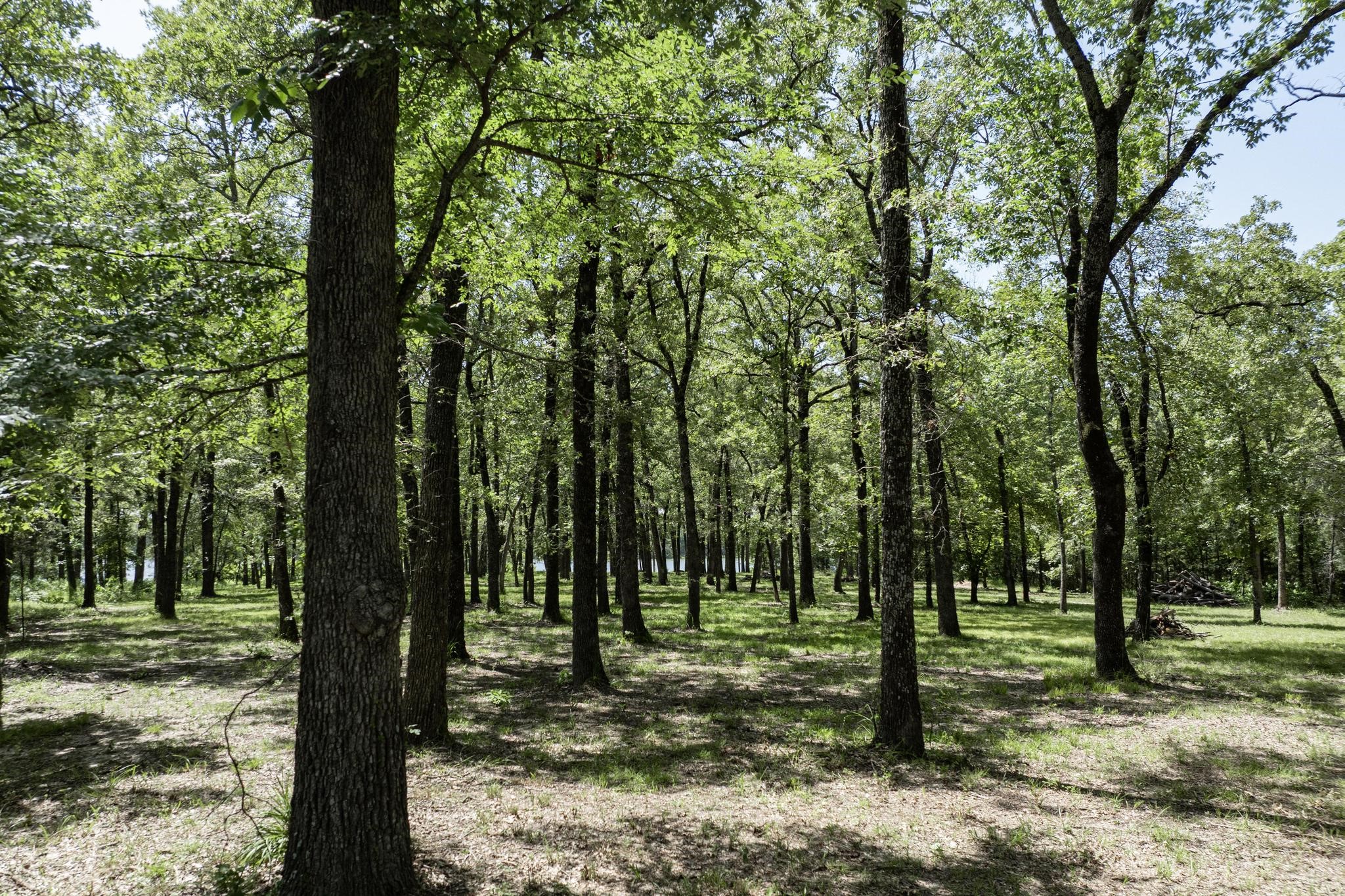 Lot 71 Anchor Quinlan TX 75474