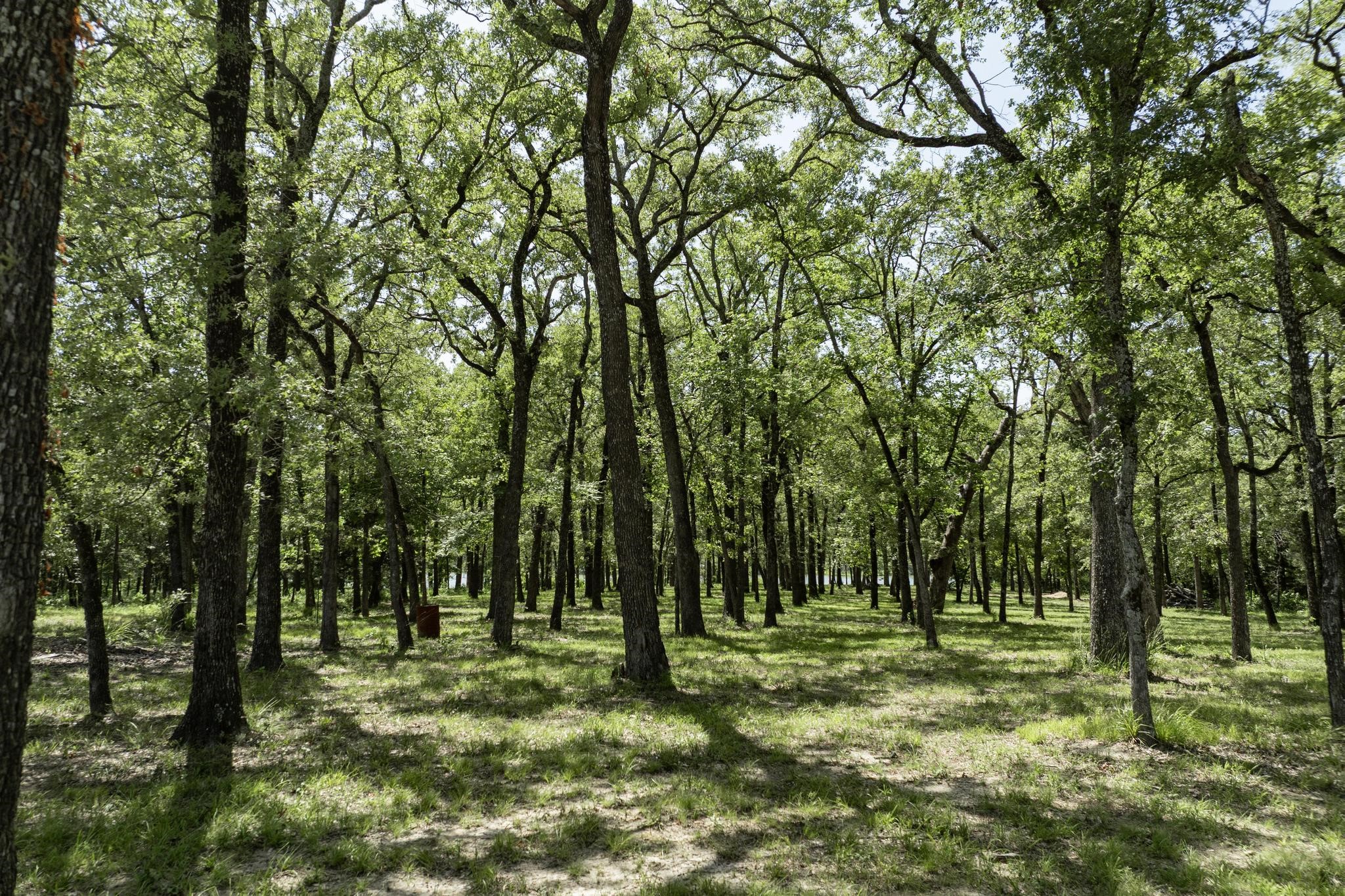 Lot 71 Anchor Quinlan TX 75474