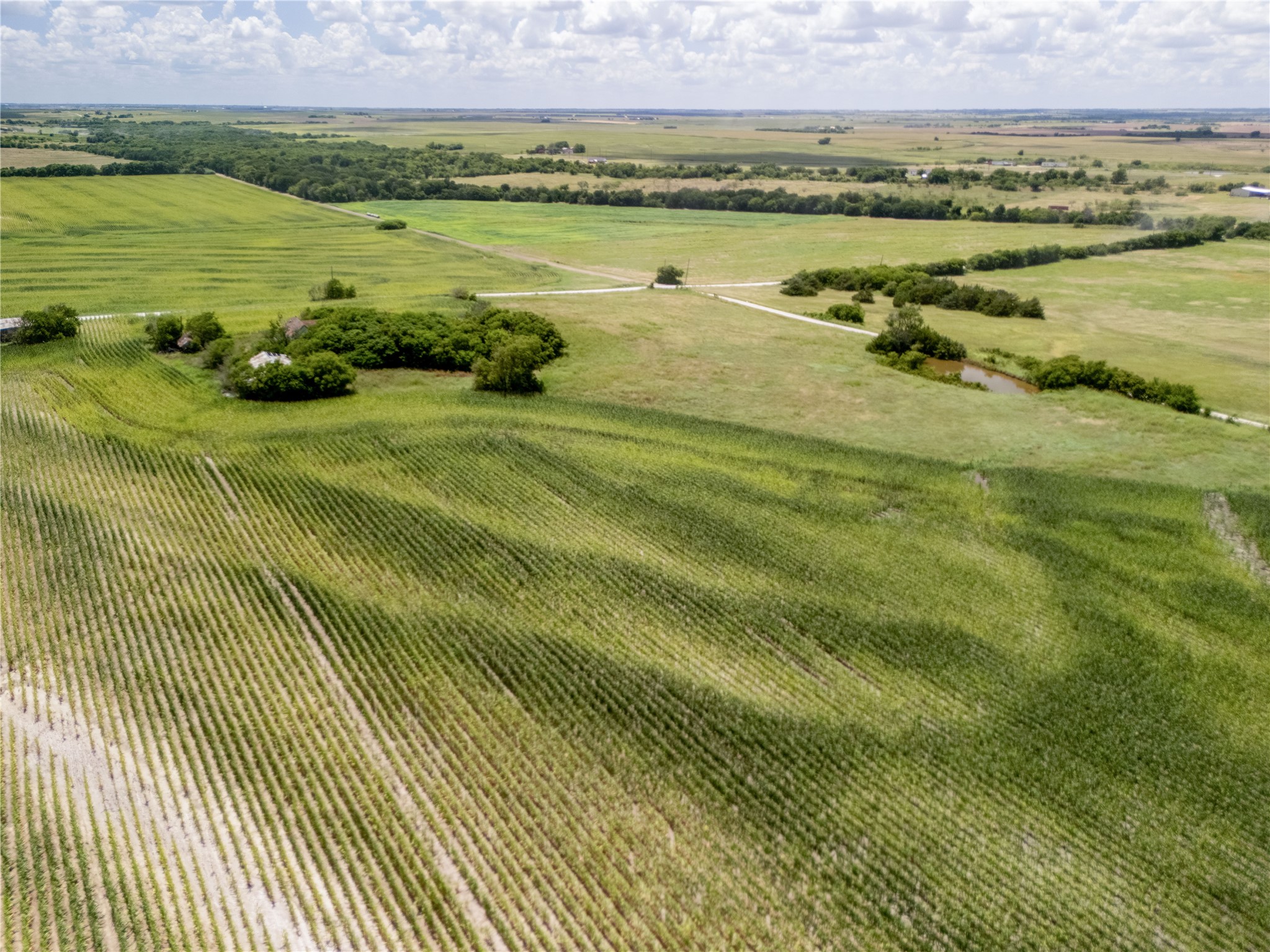 12.54 Acres | Tract 4 County Road 3307 Hubbard TX 76648