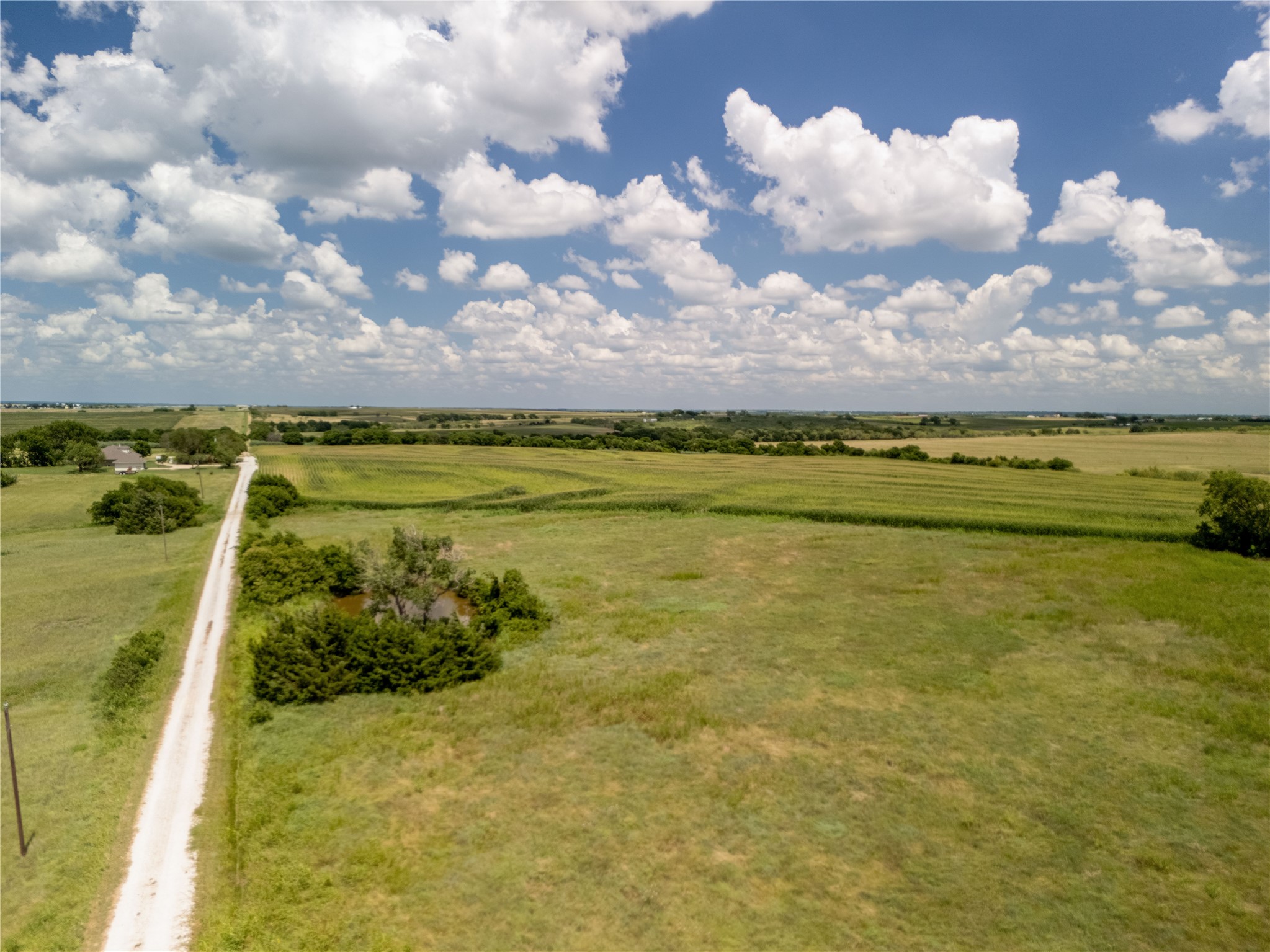 12.54 Acres | Tract 4 County Road 3307 Hubbard TX 76648