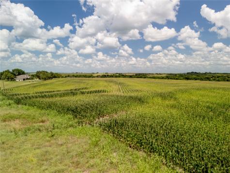 12.54 Acres | Tract 4 County Road 3307 Hubbard TX 76648