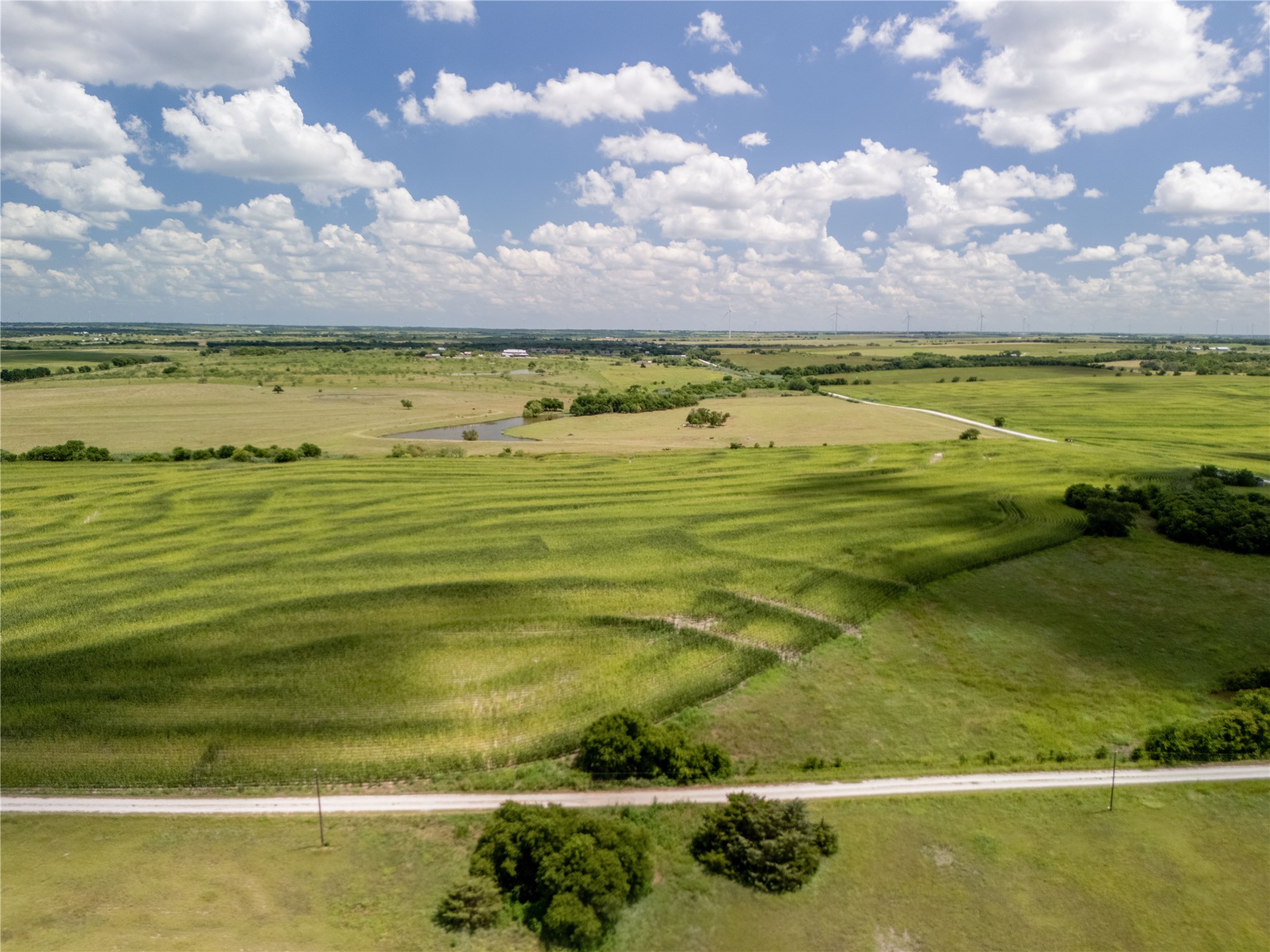 12.54 Acres | Tract 4 County Road 3307 Hubbard TX 76648