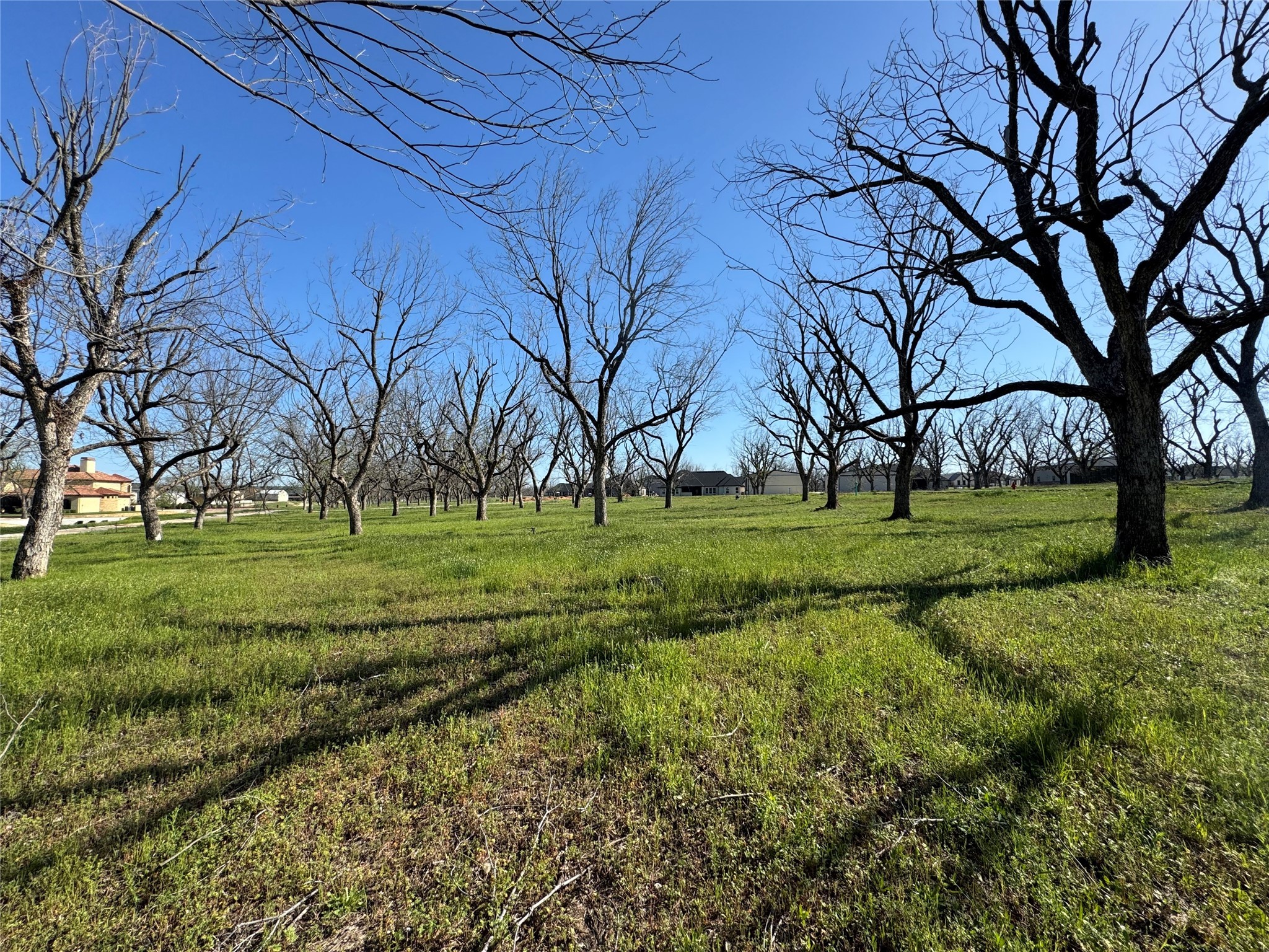 6009 Bonanza Drive Granbury TX 76049