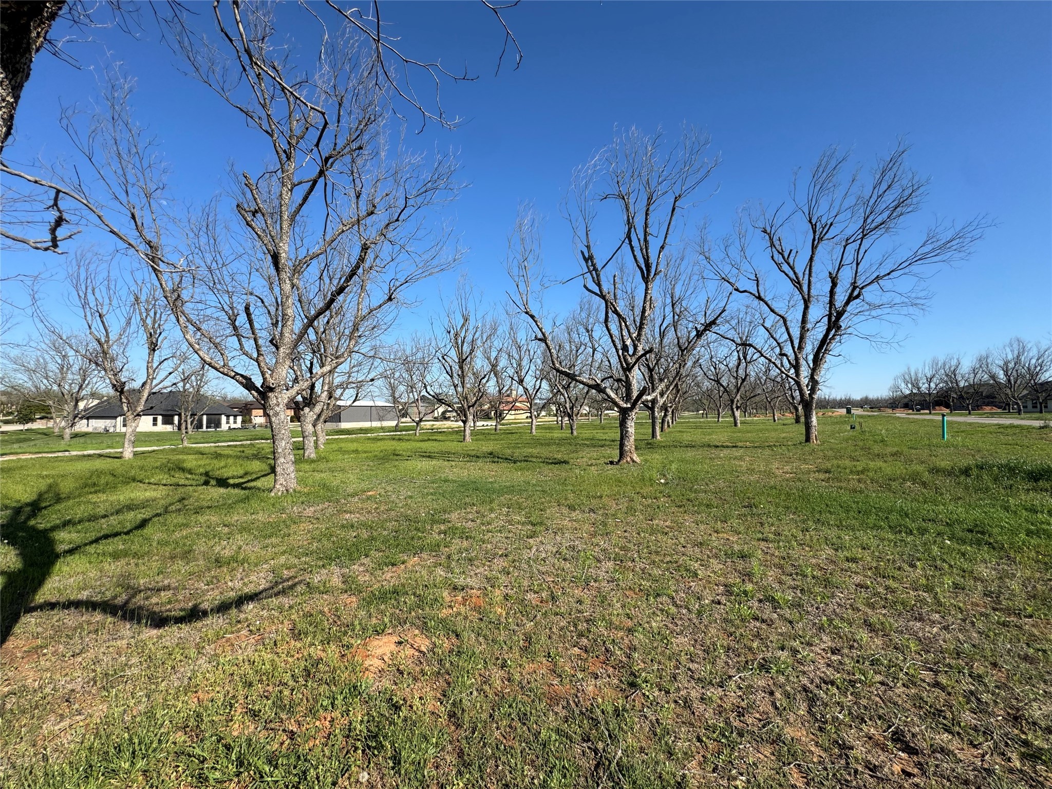 6009 Bonanza Drive Granbury TX 76049