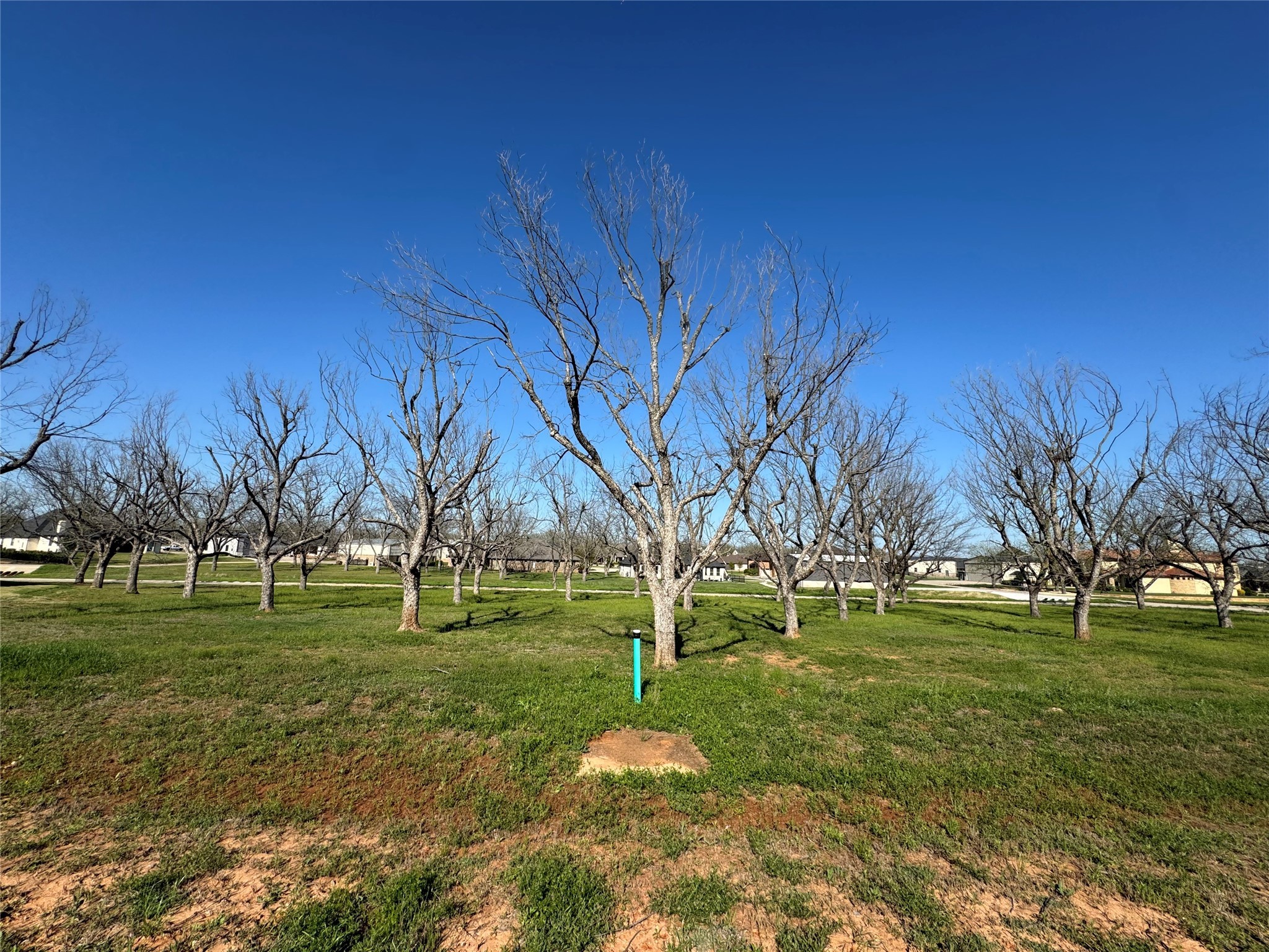6009 Bonanza Drive Granbury TX 76049