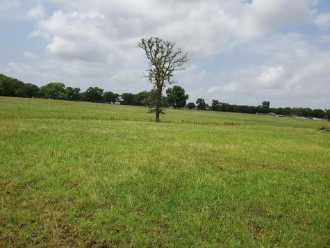 563 County Road 176 Whitesboro TX 76273