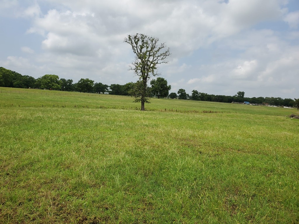 563 County Road 176 Whitesboro TX 76273