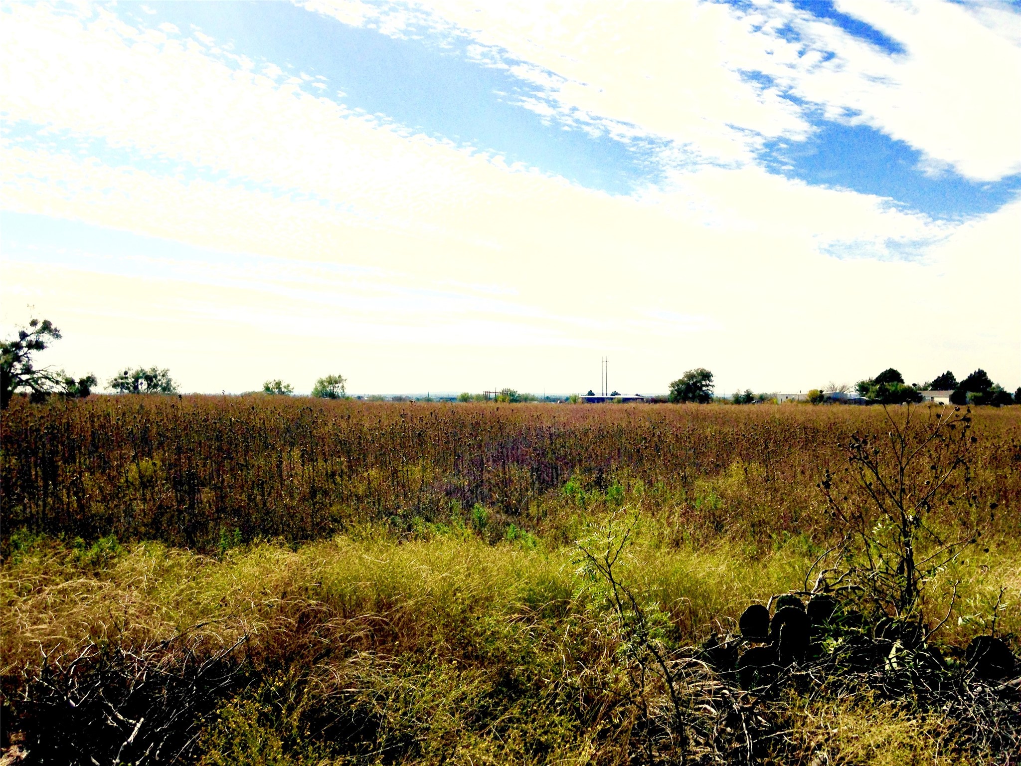 4404 Fm 603 Clyde TX 79510