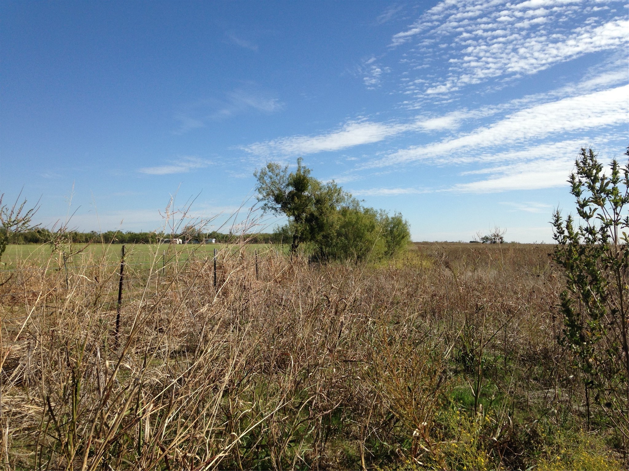 4404 Fm 603 Clyde TX 79510