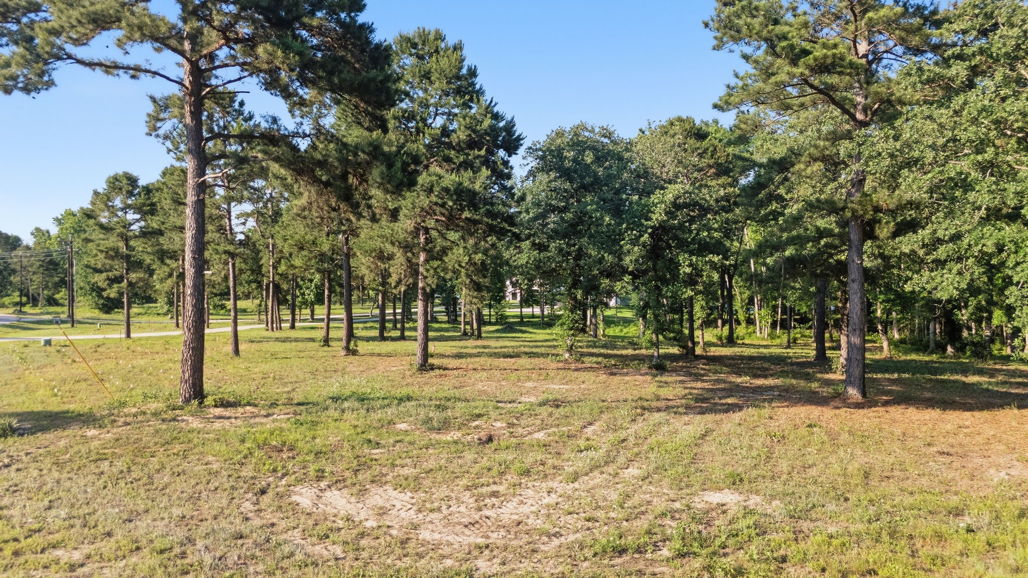 3132 Shadow Pine Drive Larue TX 75770
