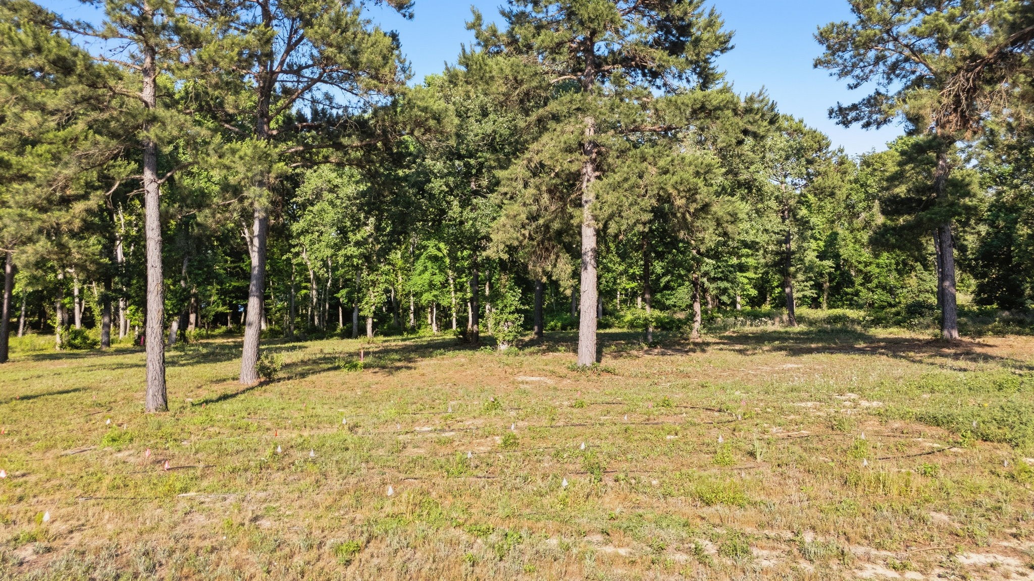 3132 Shadow Pine Drive Larue TX 75770