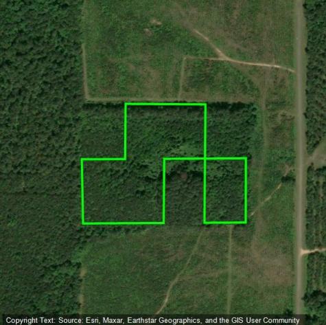 0 Standpipe Road Haynesville LA 71035