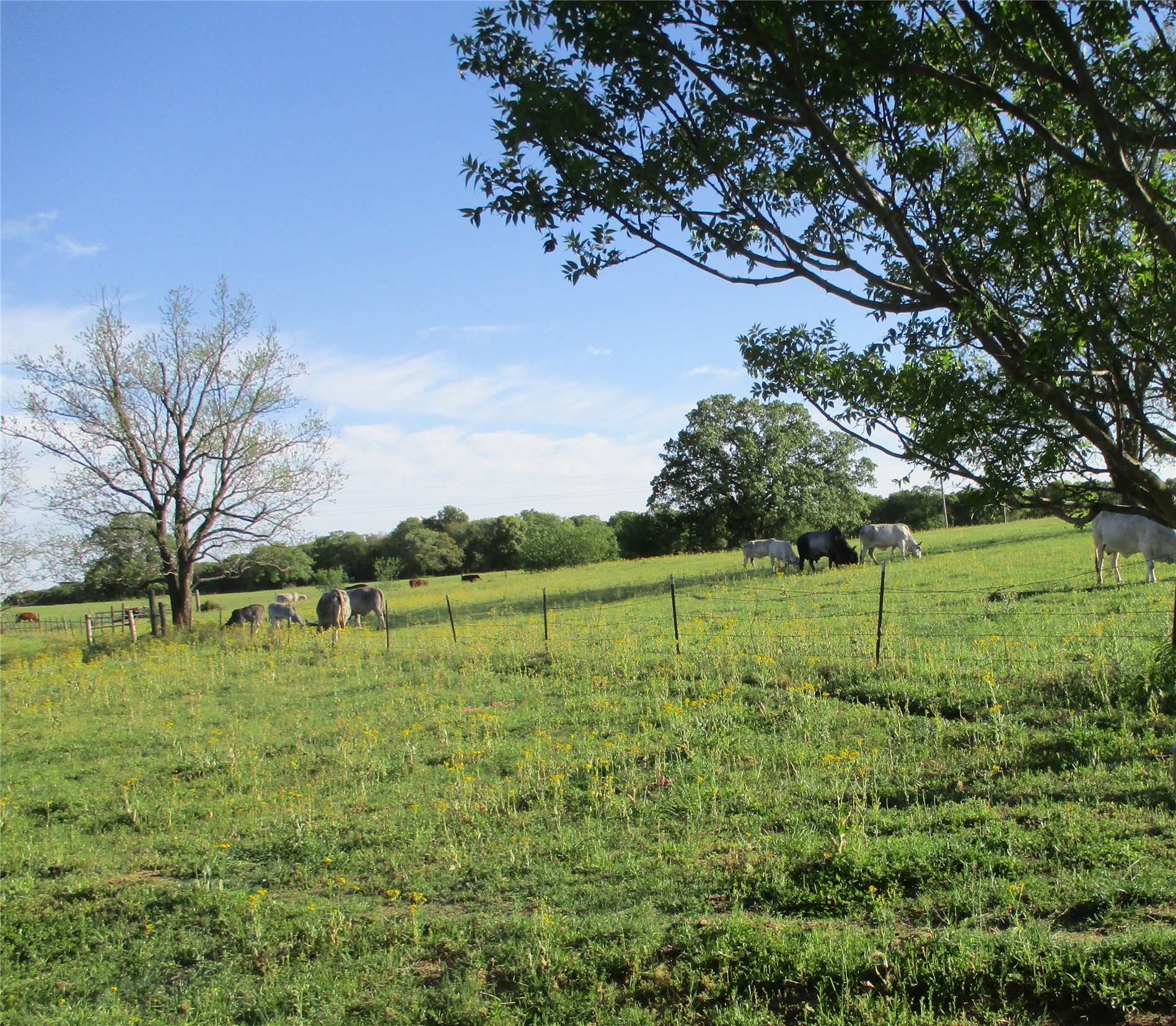 0 Tbd Hcr 1414 Covington TX 76636