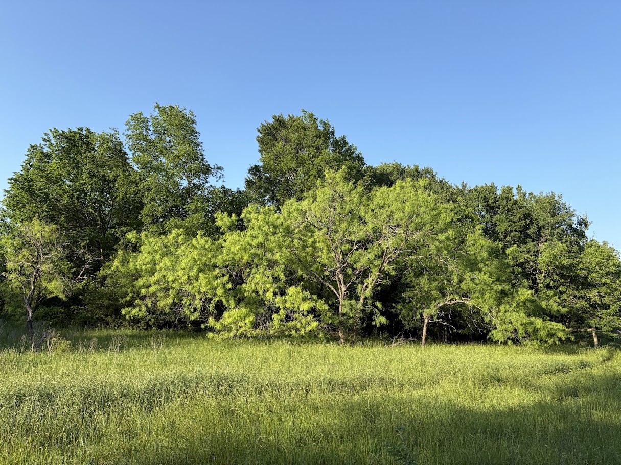 000 County Road 855 Teague TX 75860