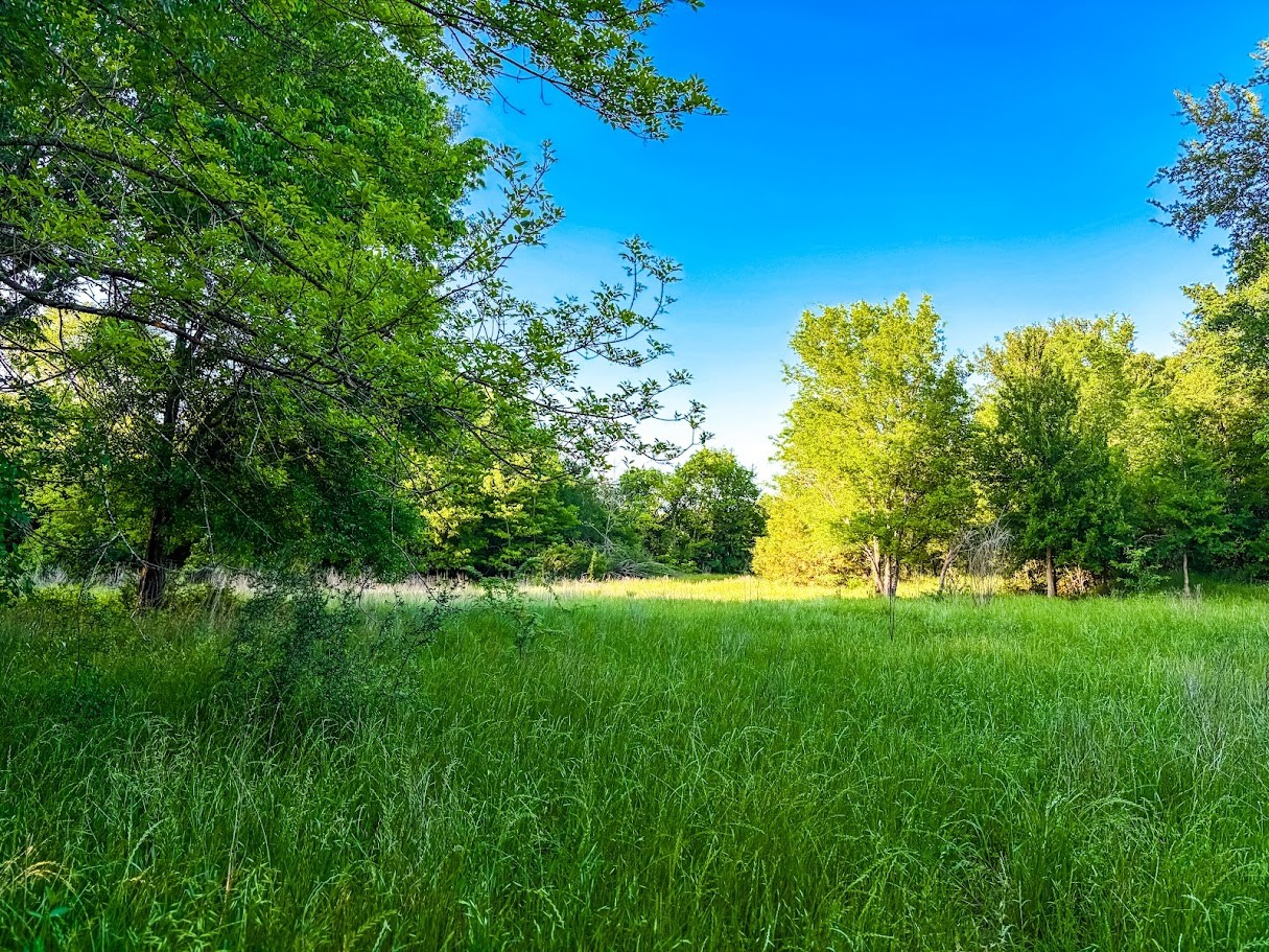 000 County Road 855 Teague TX 75860