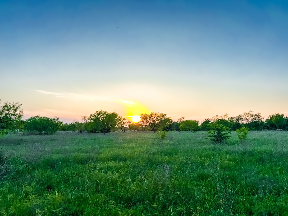 000 County Road 855 Teague TX 75860