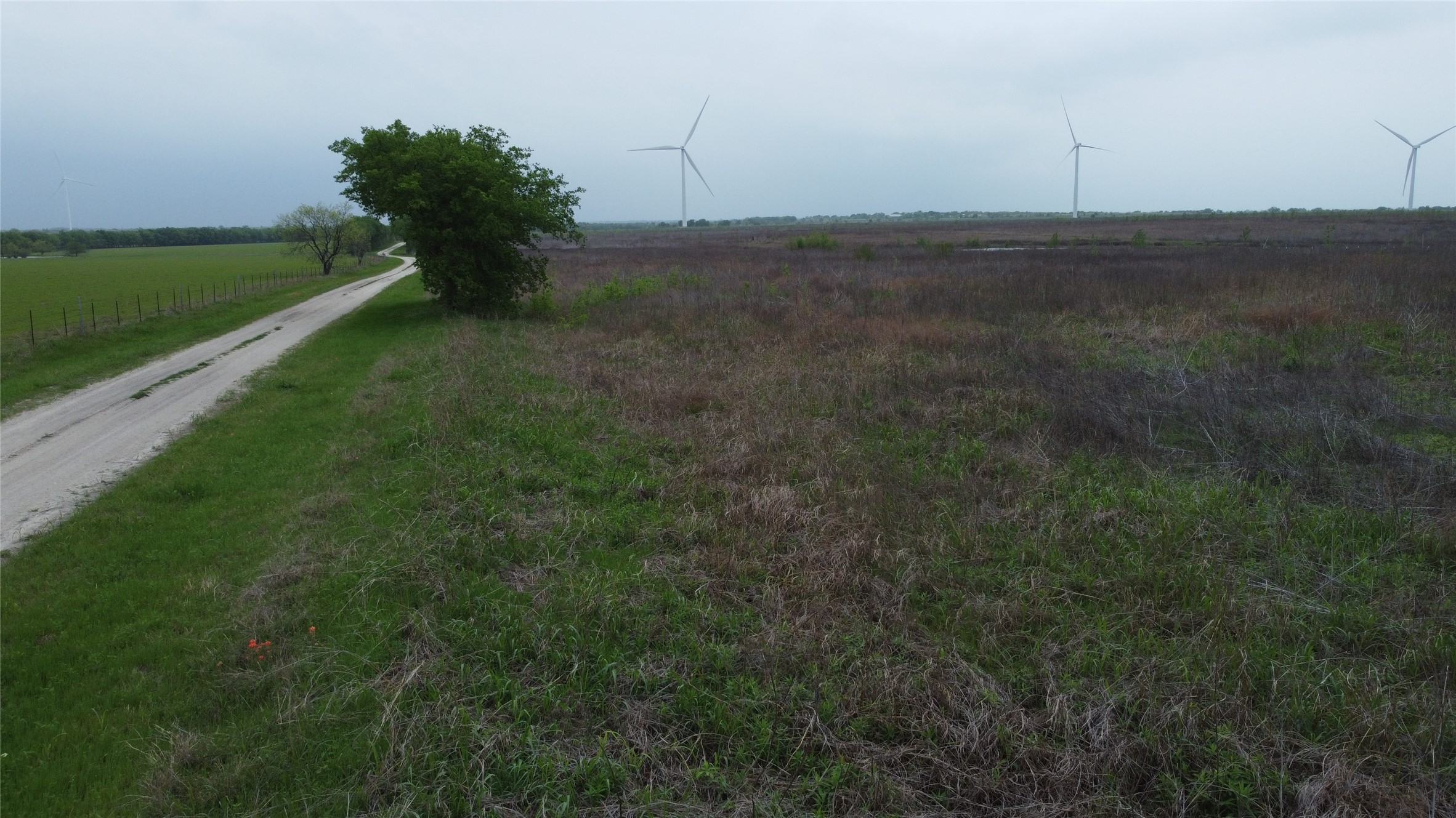 Tbd Lcr 158 Coolidge TX 76635