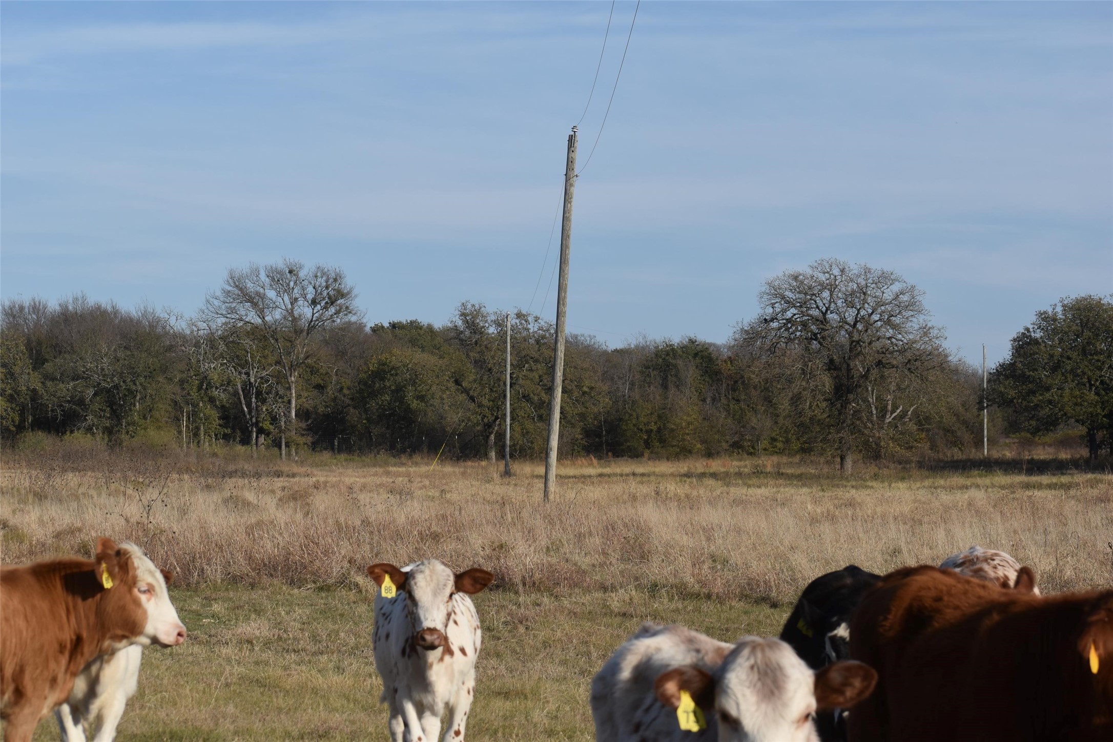 318 Fm 2488 Covington TX 76636