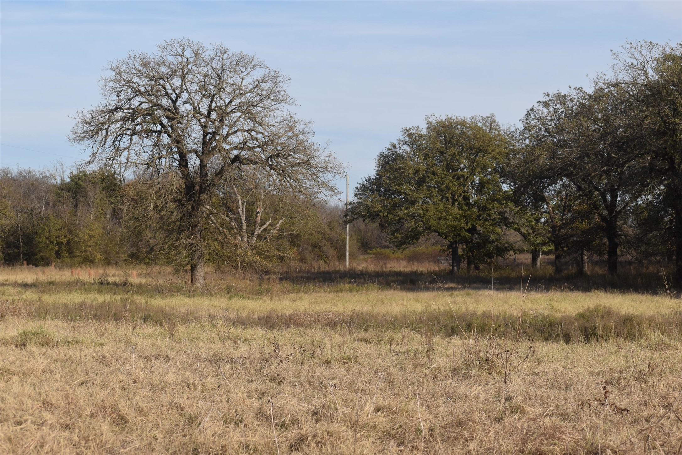 318 Fm 2488 Covington TX 76636