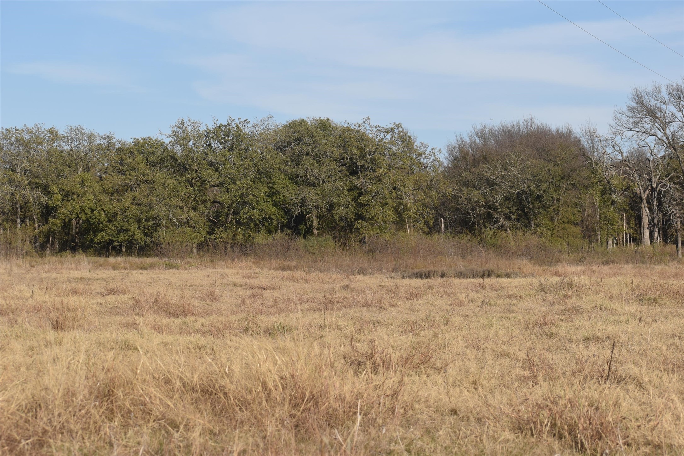 318 Fm 2488 Covington TX 76636