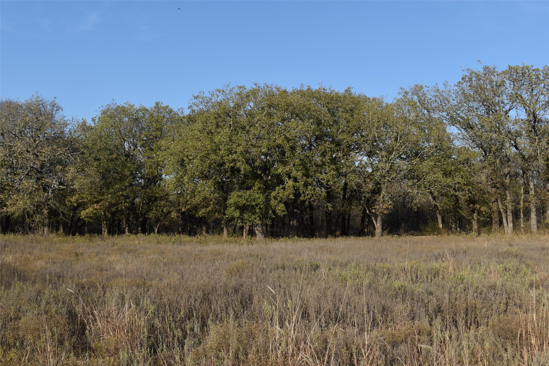 318 Fm 2488 Covington TX 76636