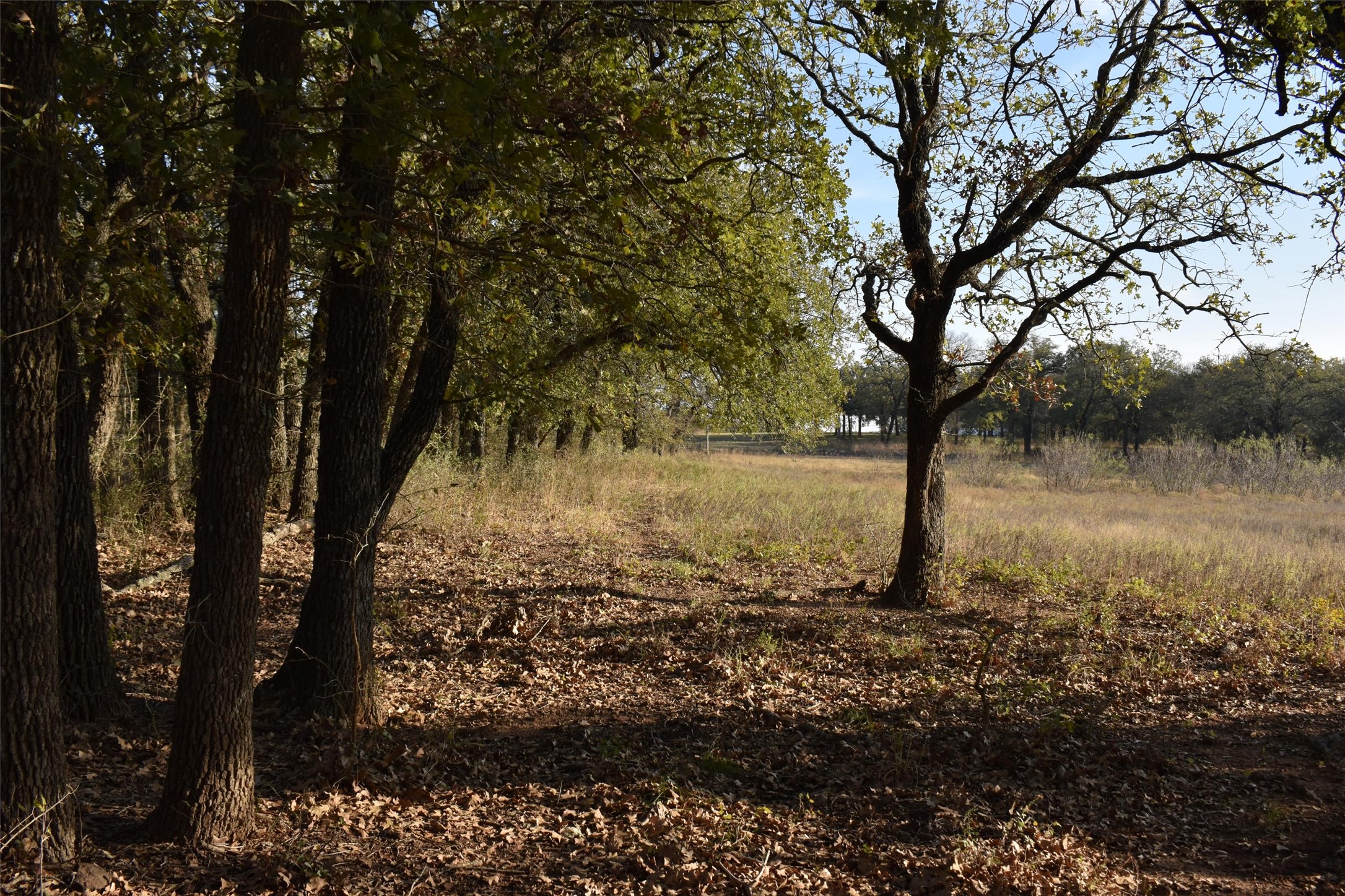 318 Fm 2488 Covington TX 76636