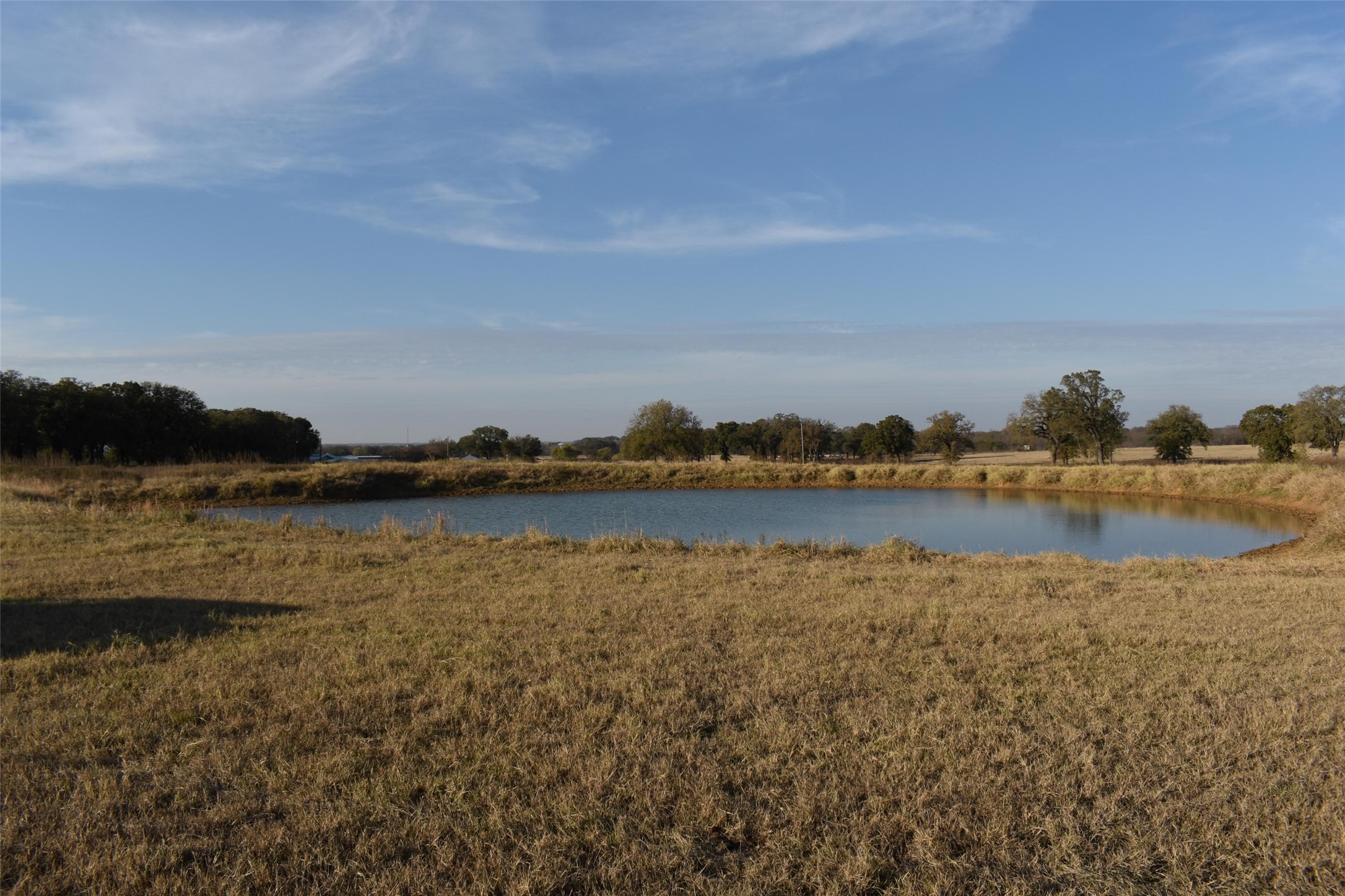 318 Fm 2488 Covington TX 76636