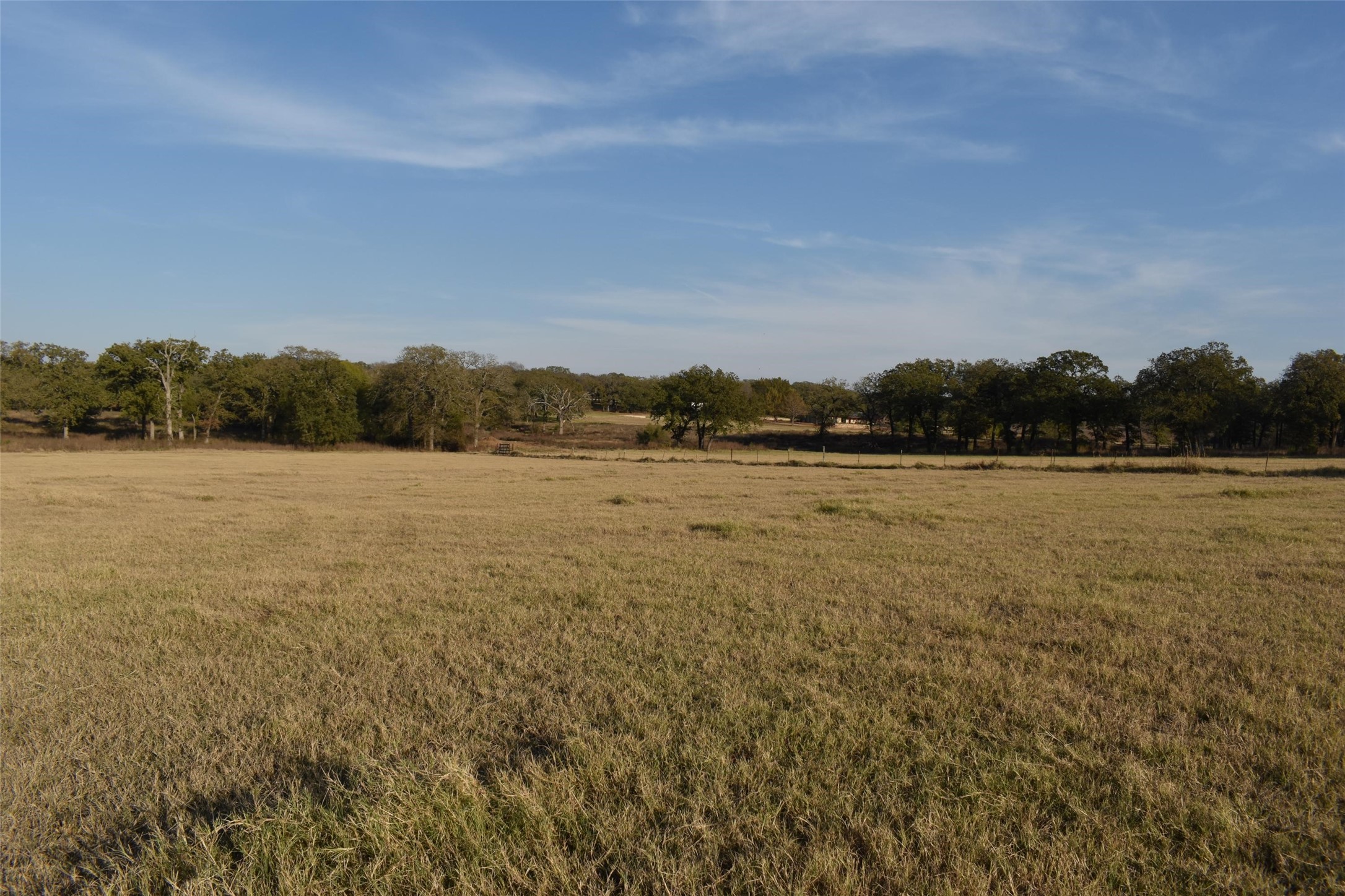 318 Fm 2488 Covington TX 76636