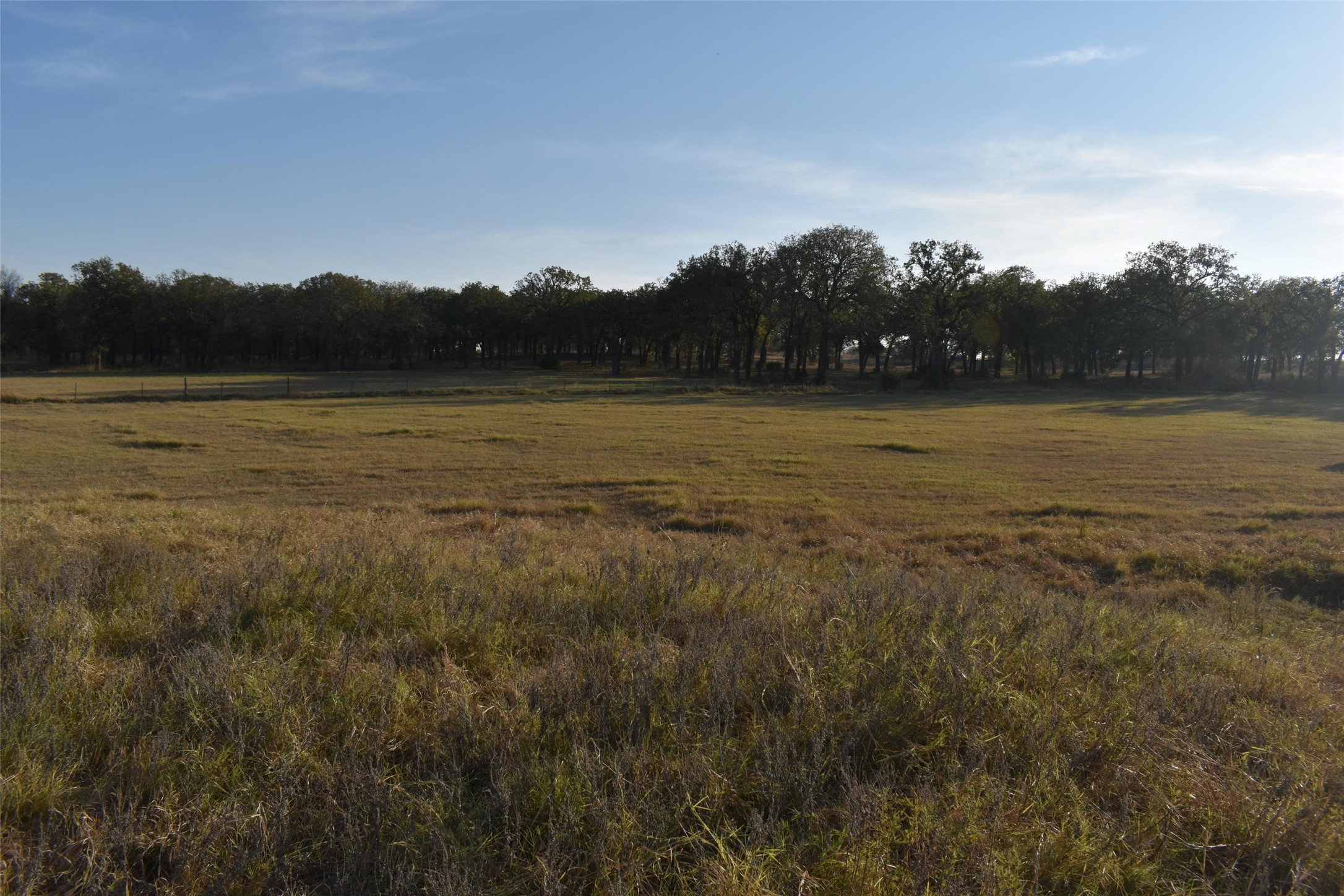 318 Fm 2488 Covington TX 76636