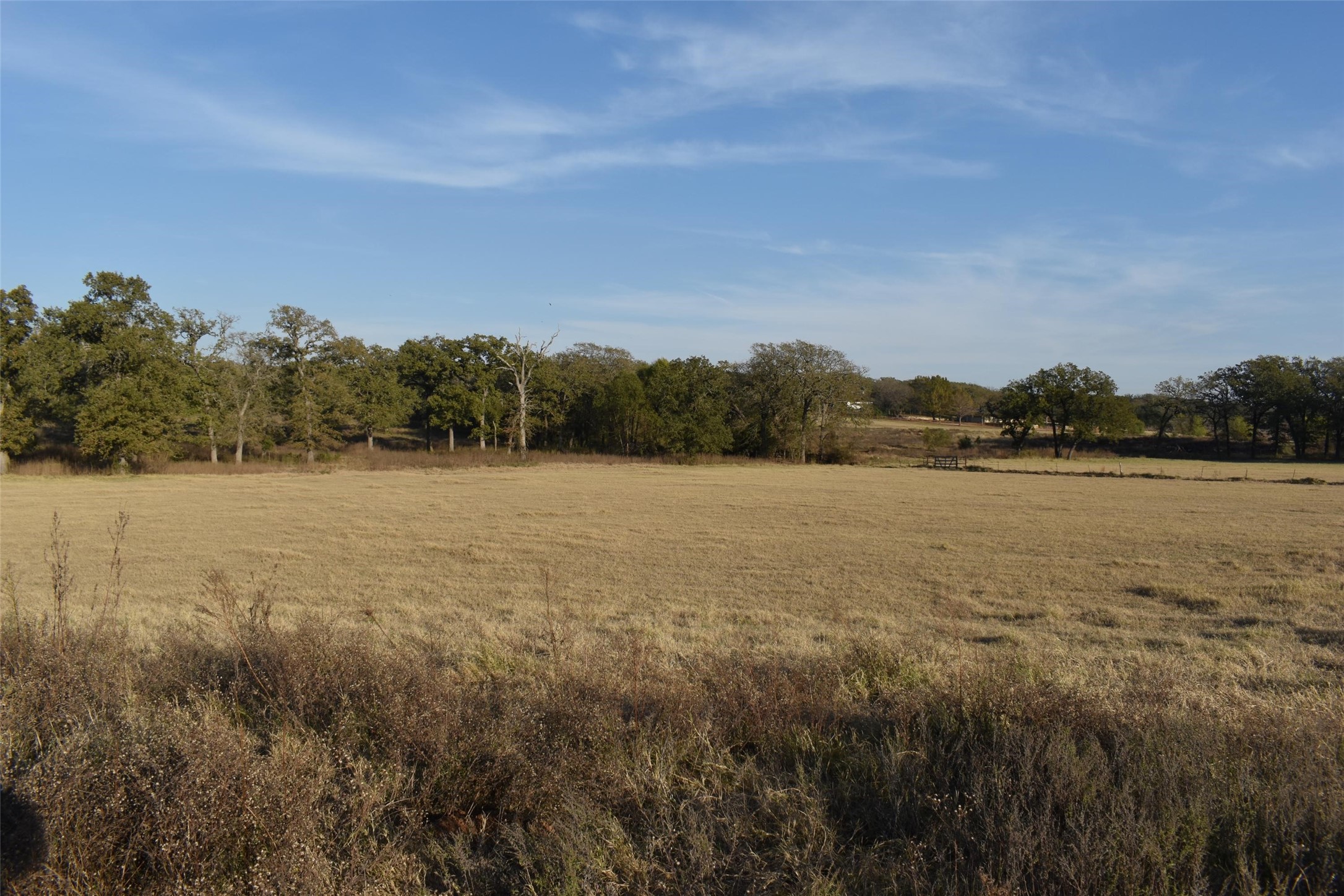 318 Fm 2488 Covington TX 76636