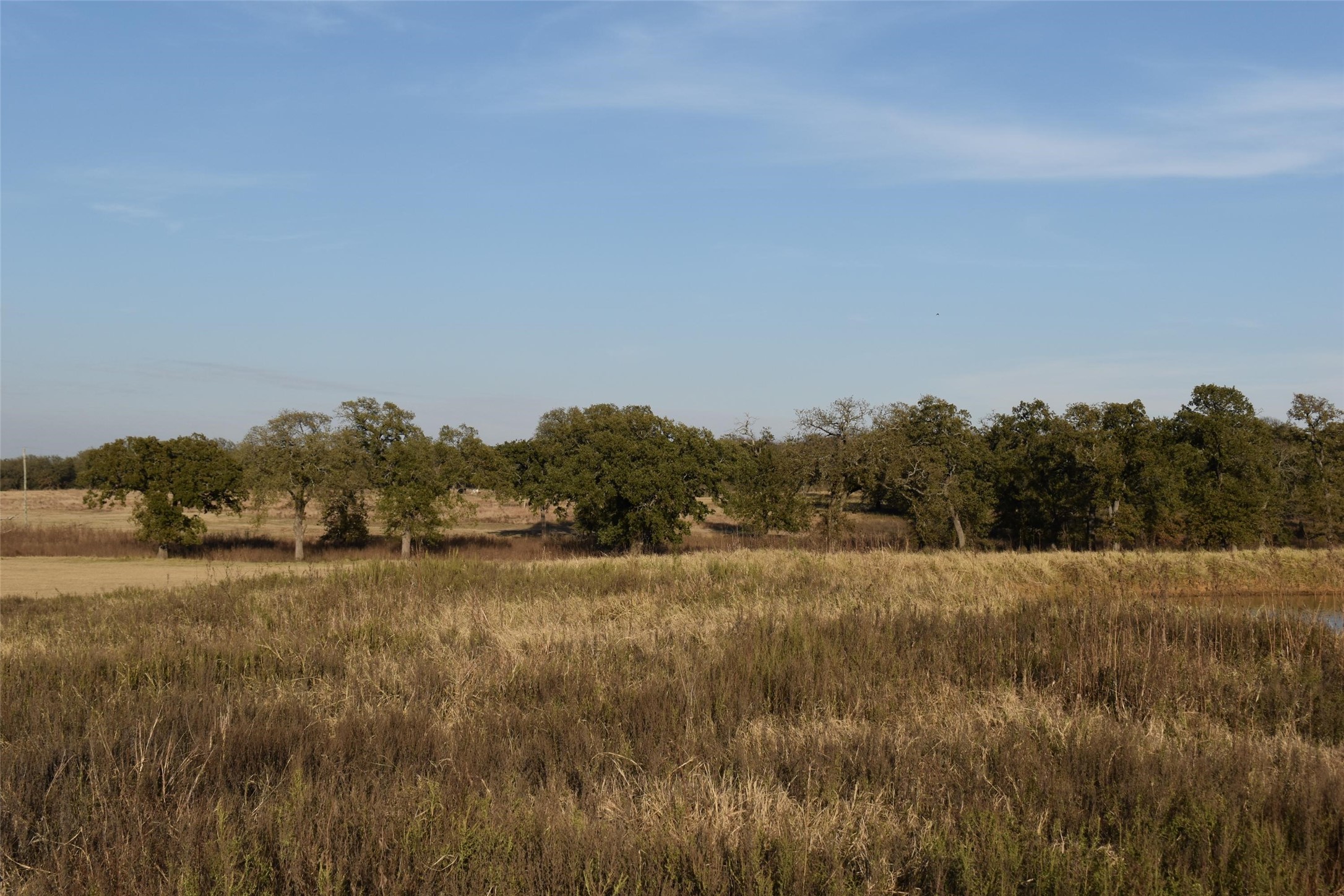 318 Fm 2488 Covington TX 76636
