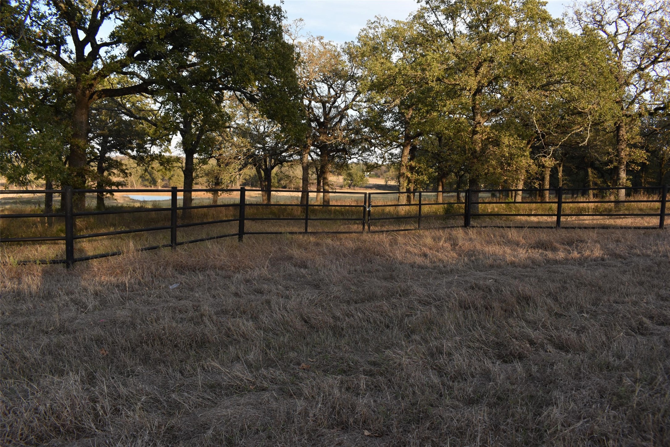 318 Fm 2488 Covington TX 76636