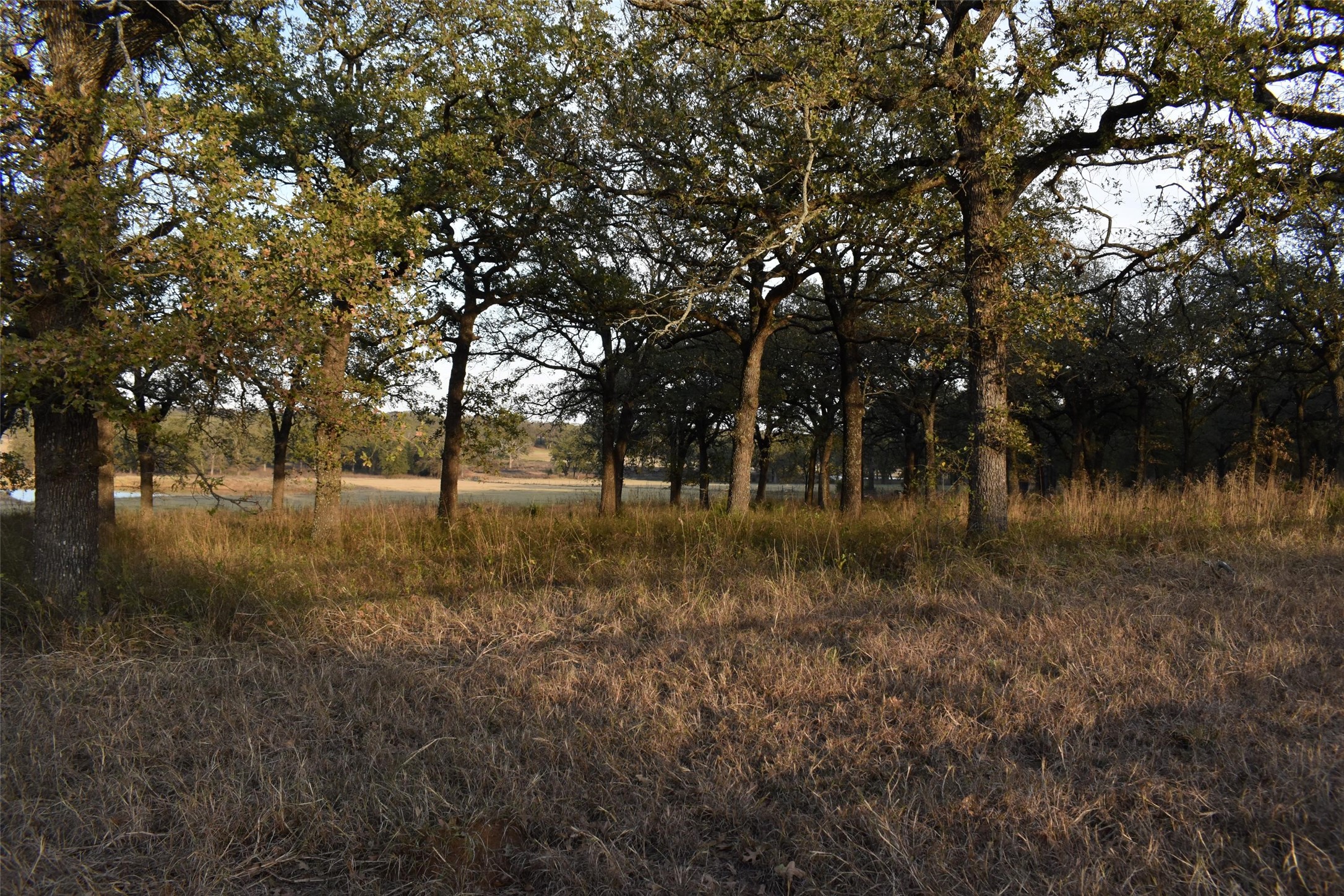 318 Fm 2488 Covington TX 76636