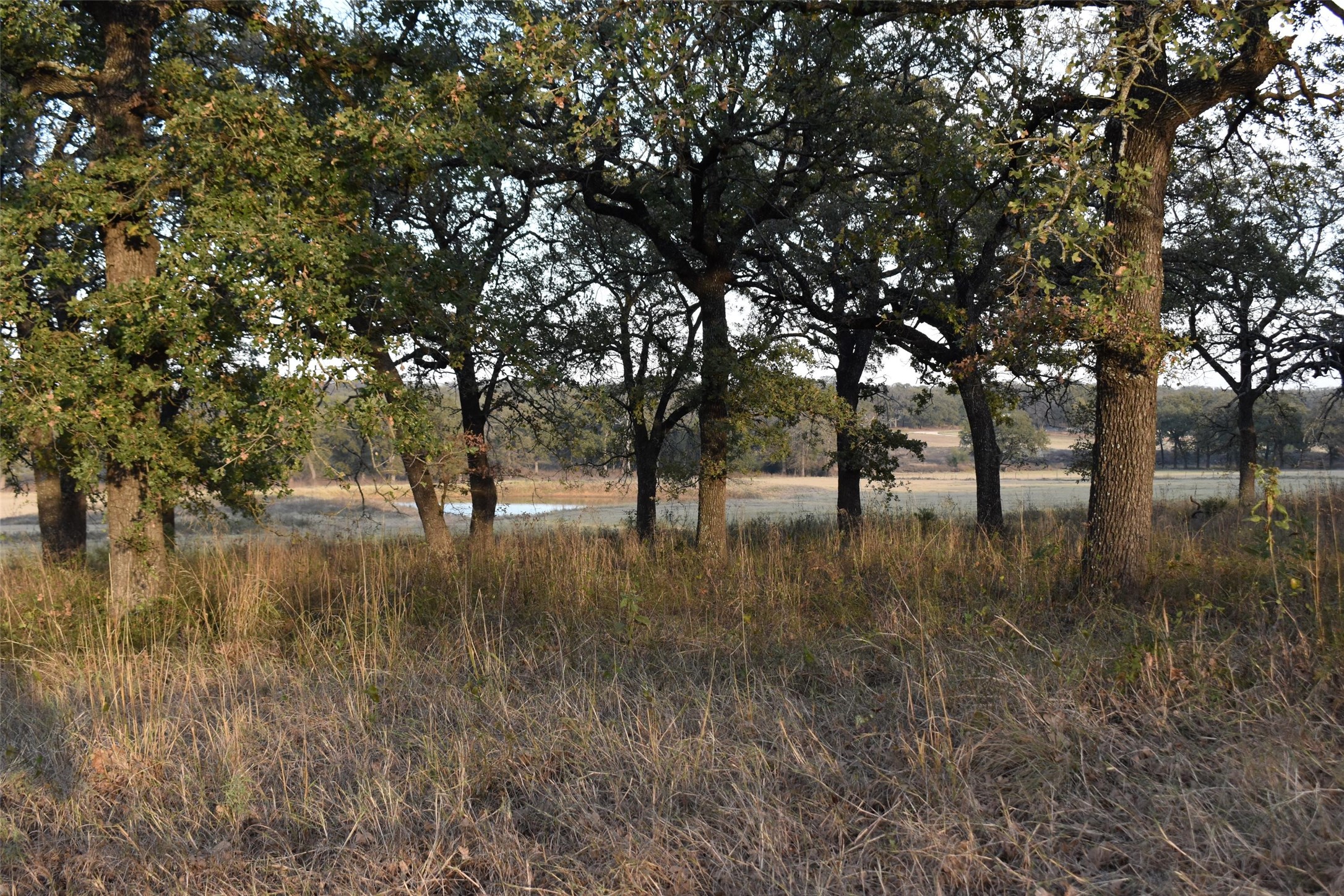 318 Fm 2488 Covington TX 76636