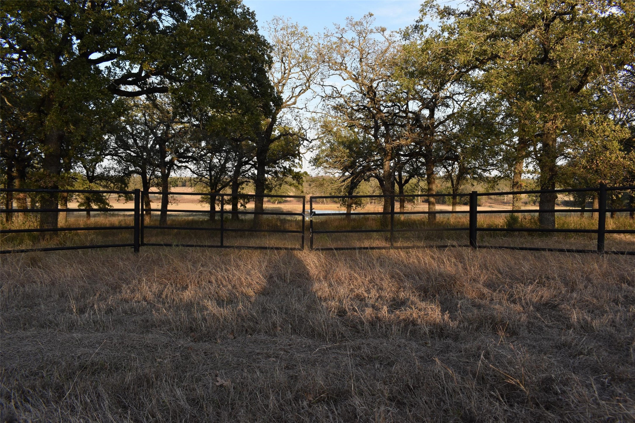 318 Fm 2488 Covington TX 76636