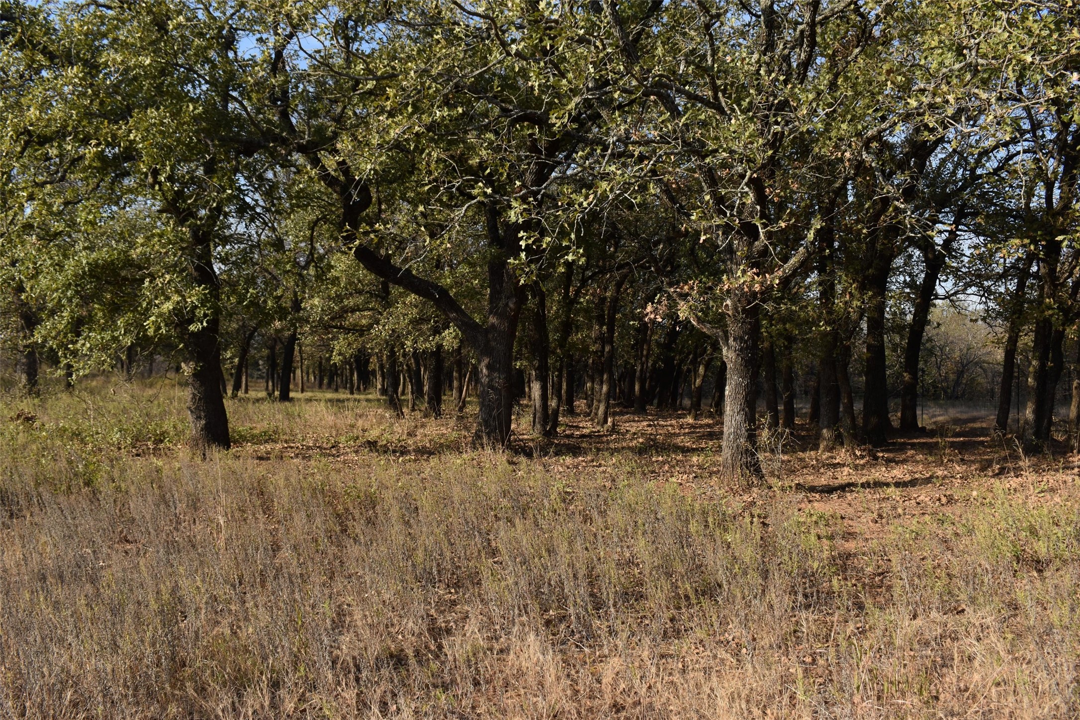 318 Fm 2488 Covington TX 76636