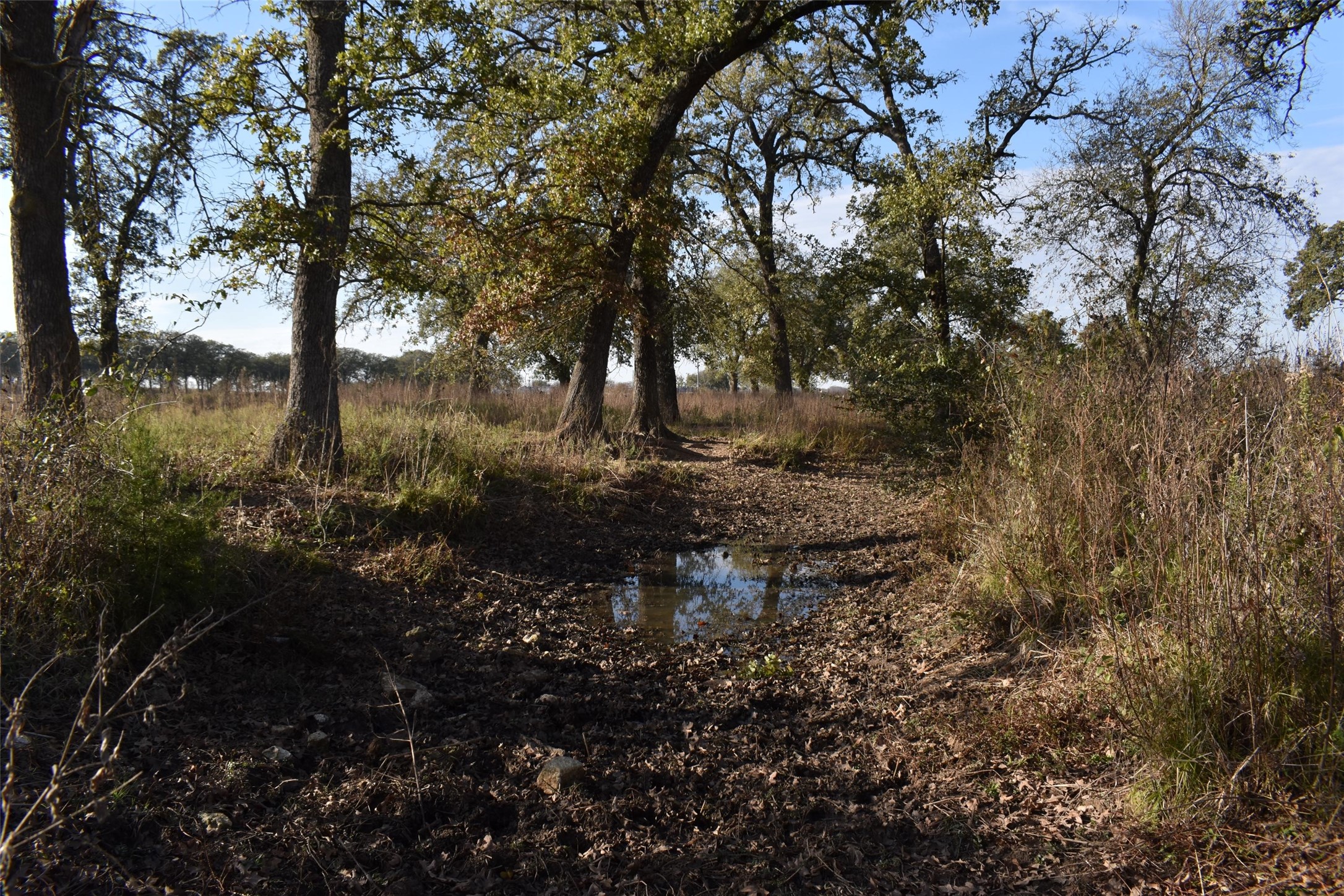 318 Fm 2488 Covington TX 76636