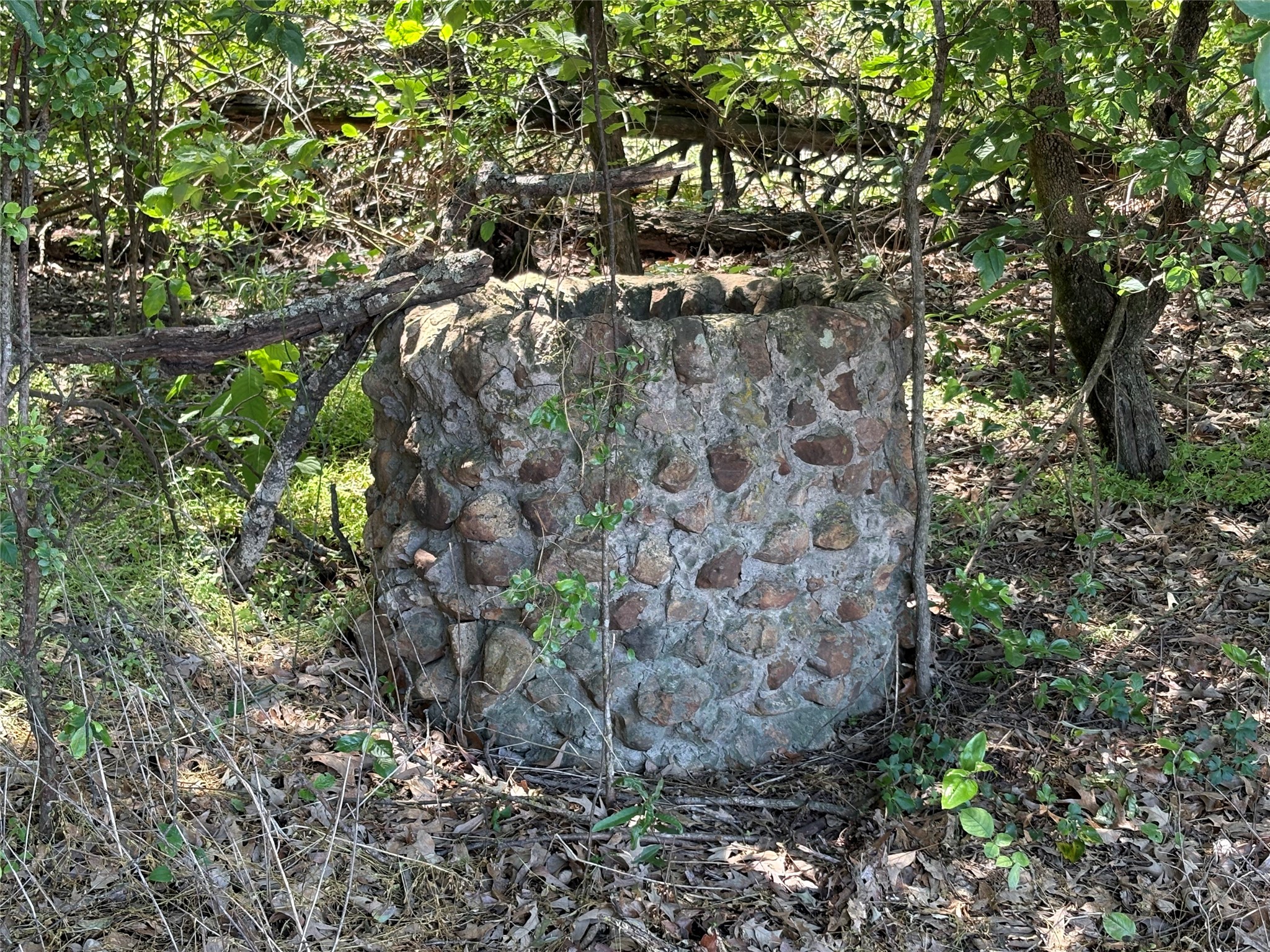 25 Acres County Road 2348 Pickton TX 75471