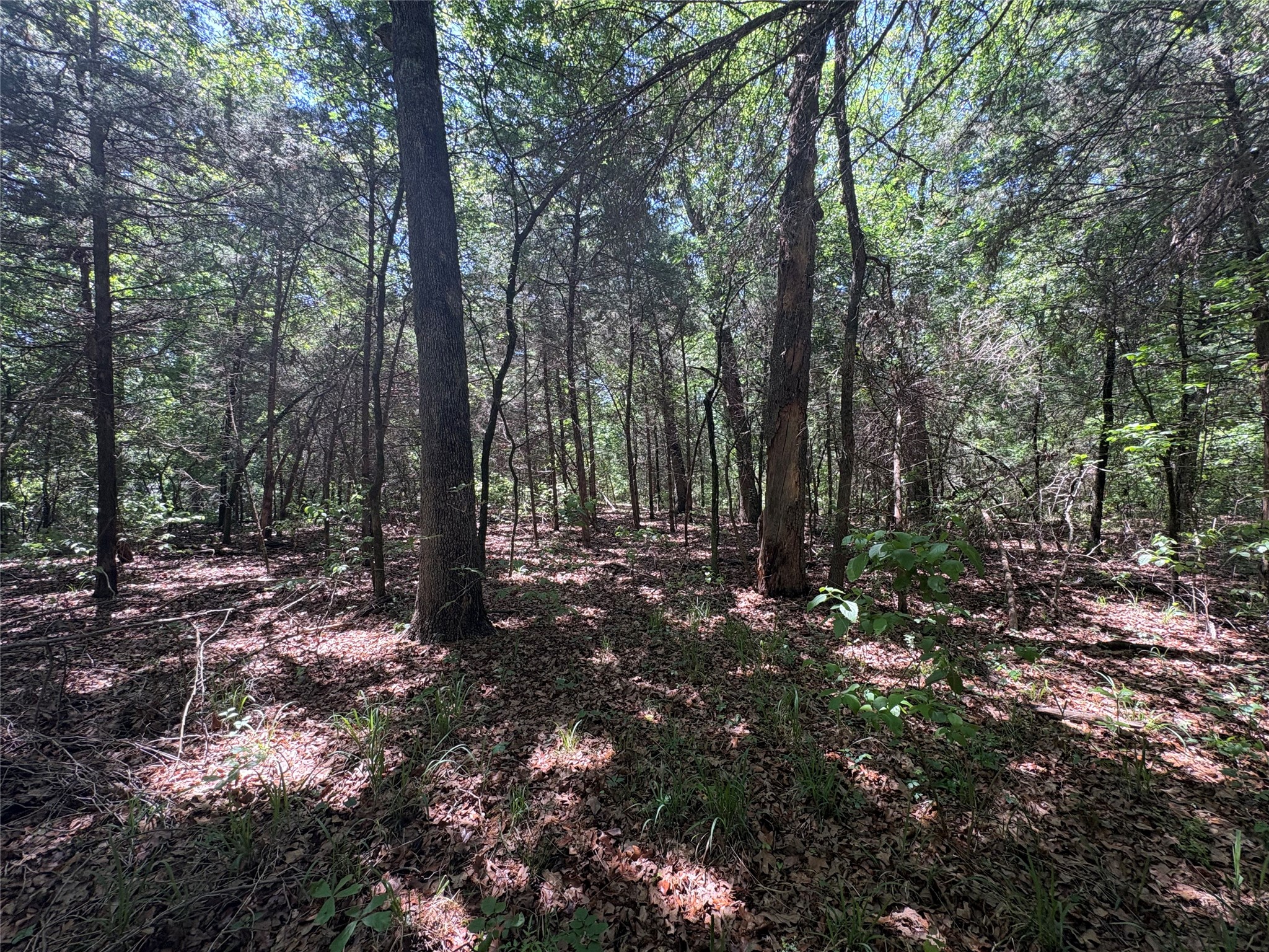 25 Acres County Road 2348 Pickton TX 75471