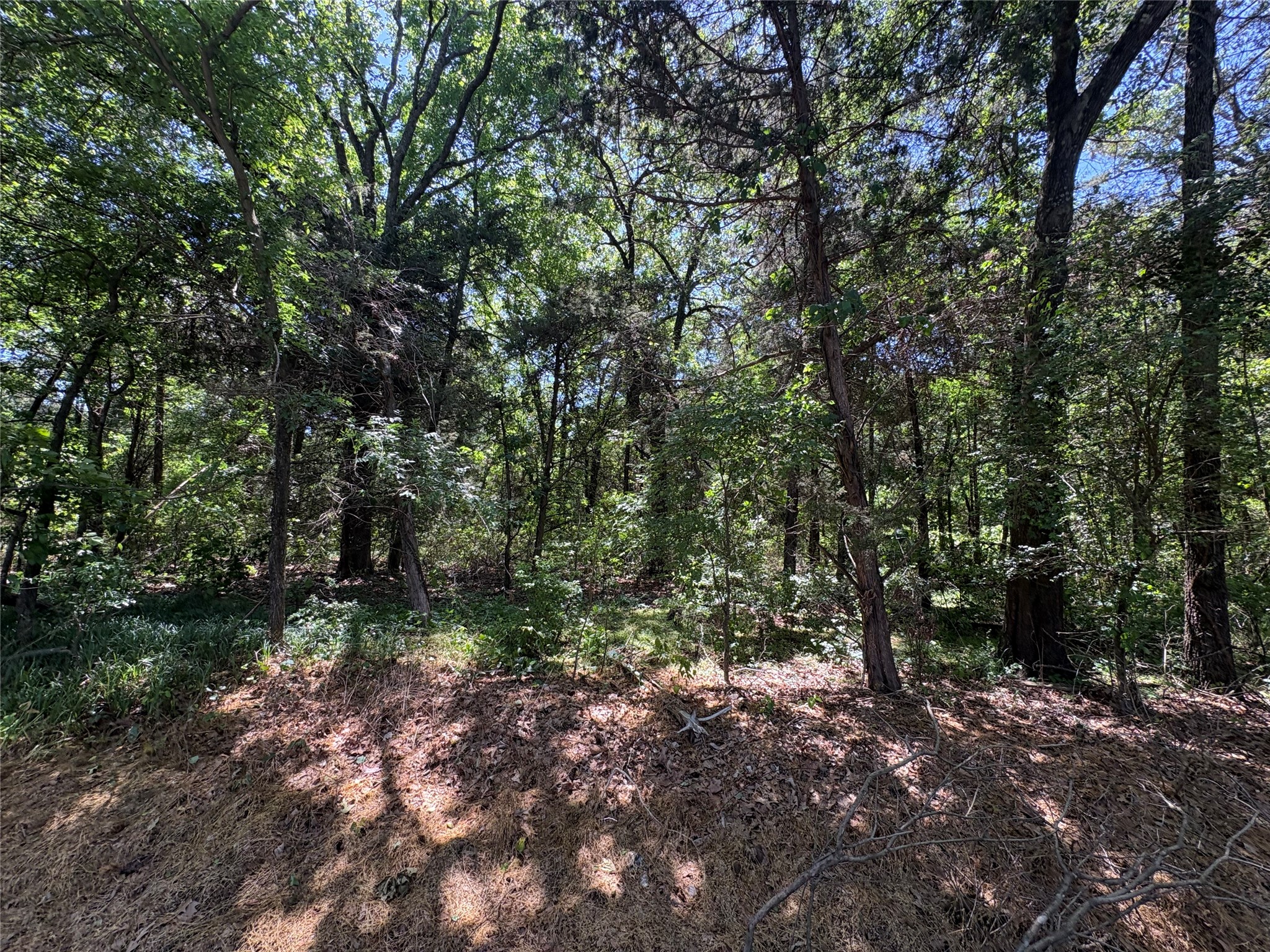 25 Acres County Road 2348 Pickton TX 75471