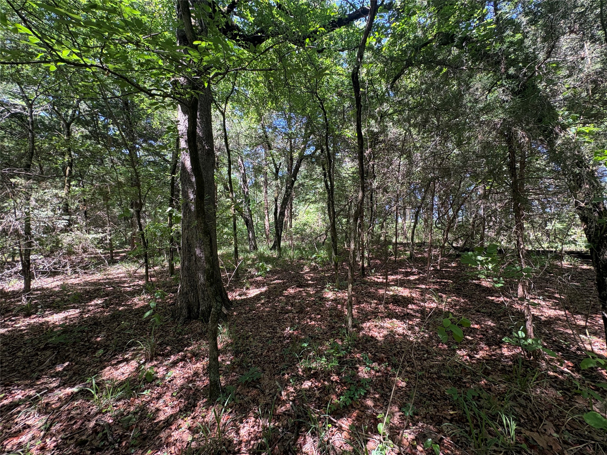 25 Acres County Road 2348 Pickton TX 75471