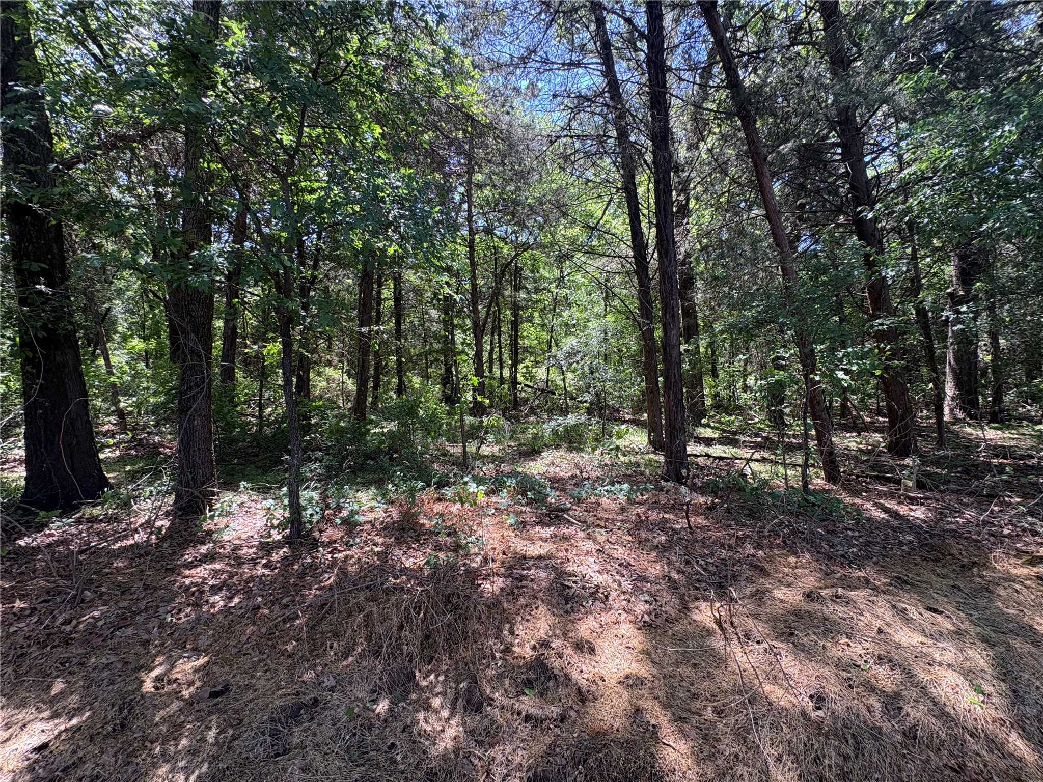 25 Acres County Road 2348 Pickton TX 75471