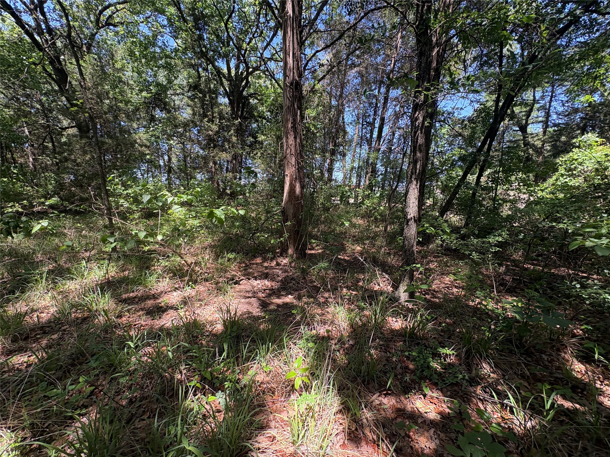 25 Acres County Road 2348 Pickton TX 75471
