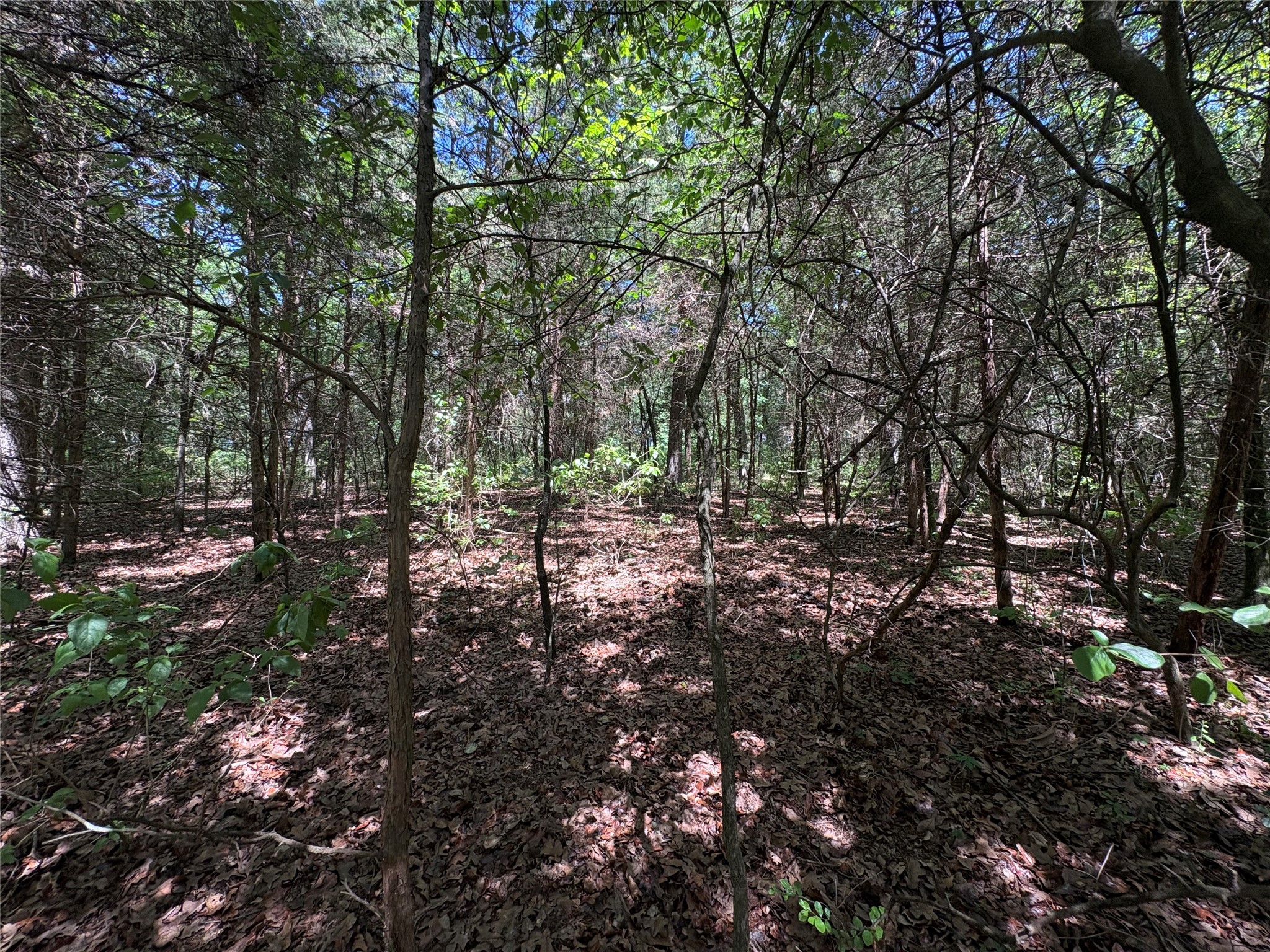 25 Acres County Road 2348 Pickton TX 75471