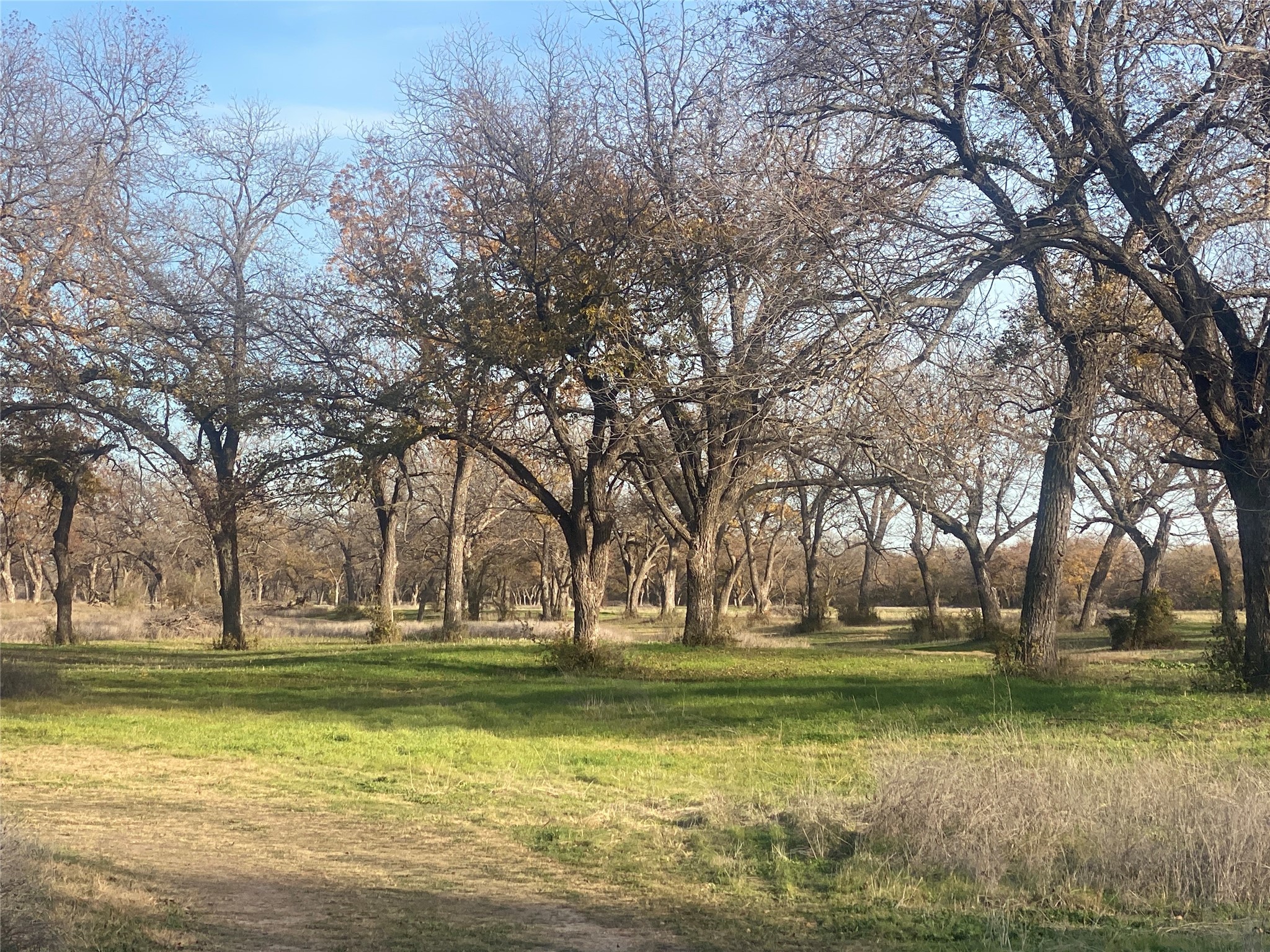 1251 Cr 360 Gustine TX 67455