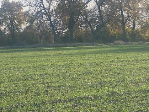 1251 Cr 360 Gustine TX 67455