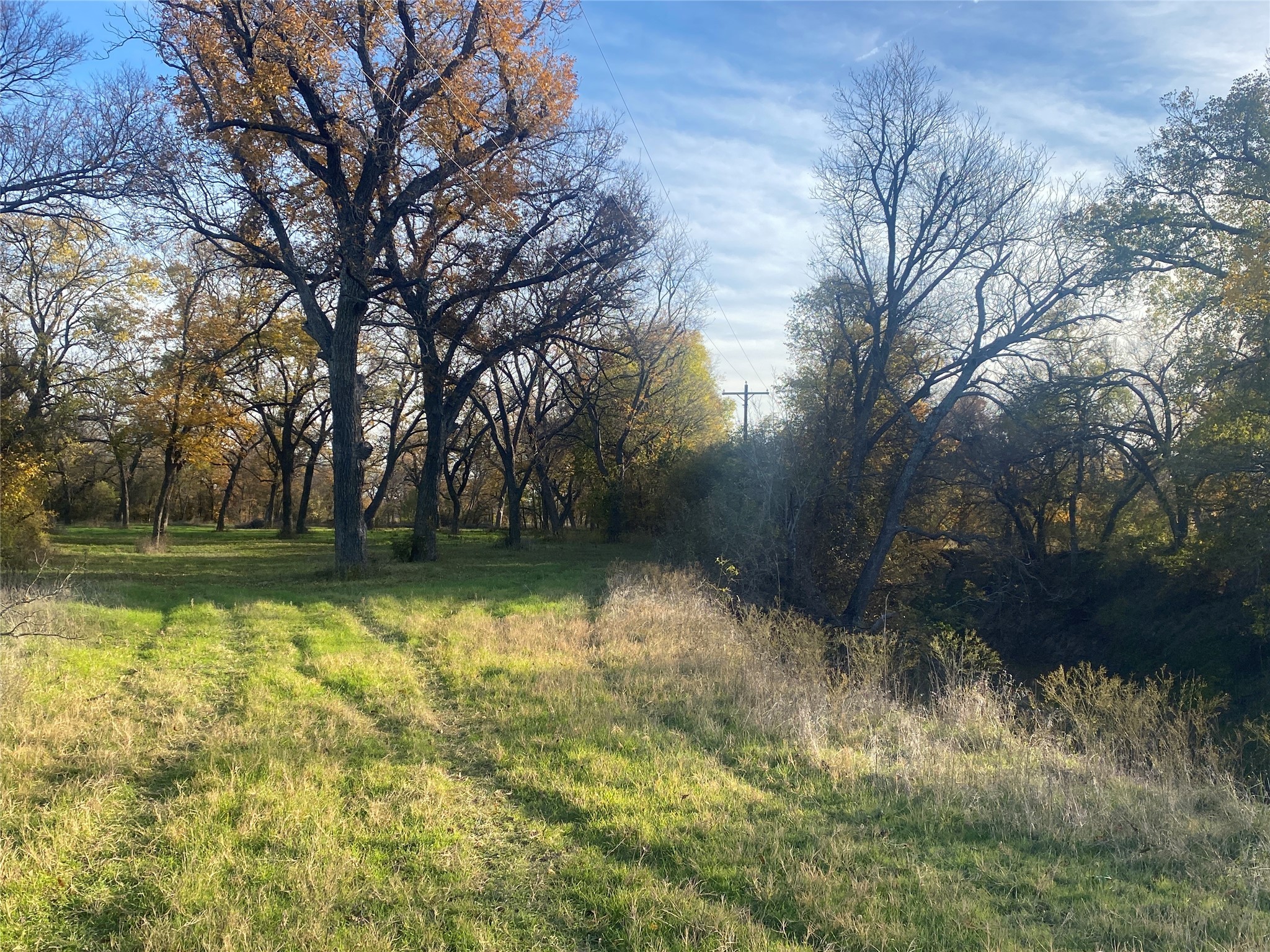 1251 Cr 360 Gustine TX 67455