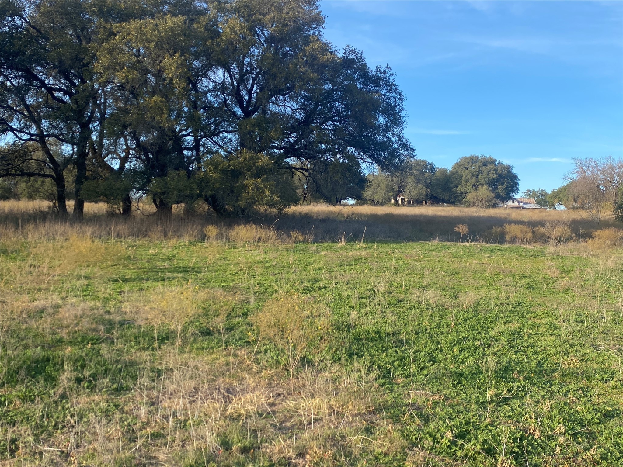 1251 Cr 360 Gustine TX 67455